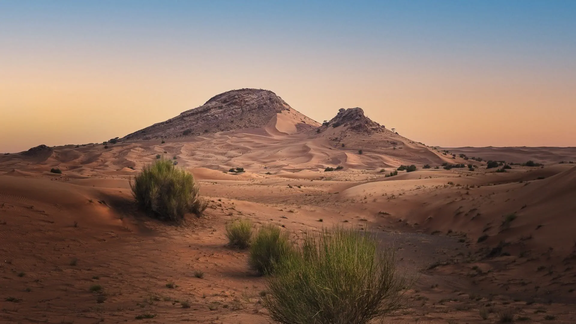 Global research institutions compete for Faya grants