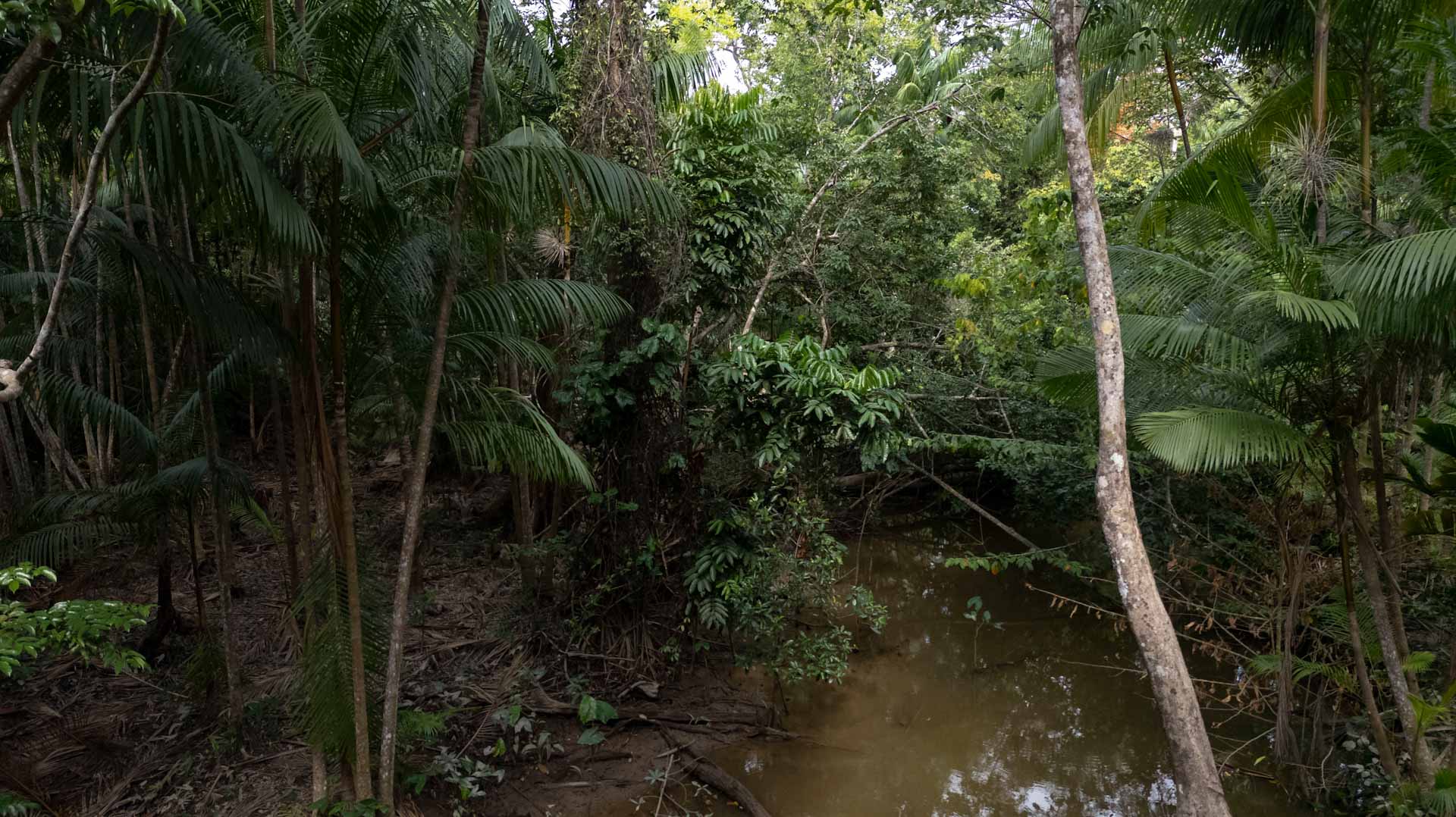 Ecuador begins fracking in Amazon rainforest