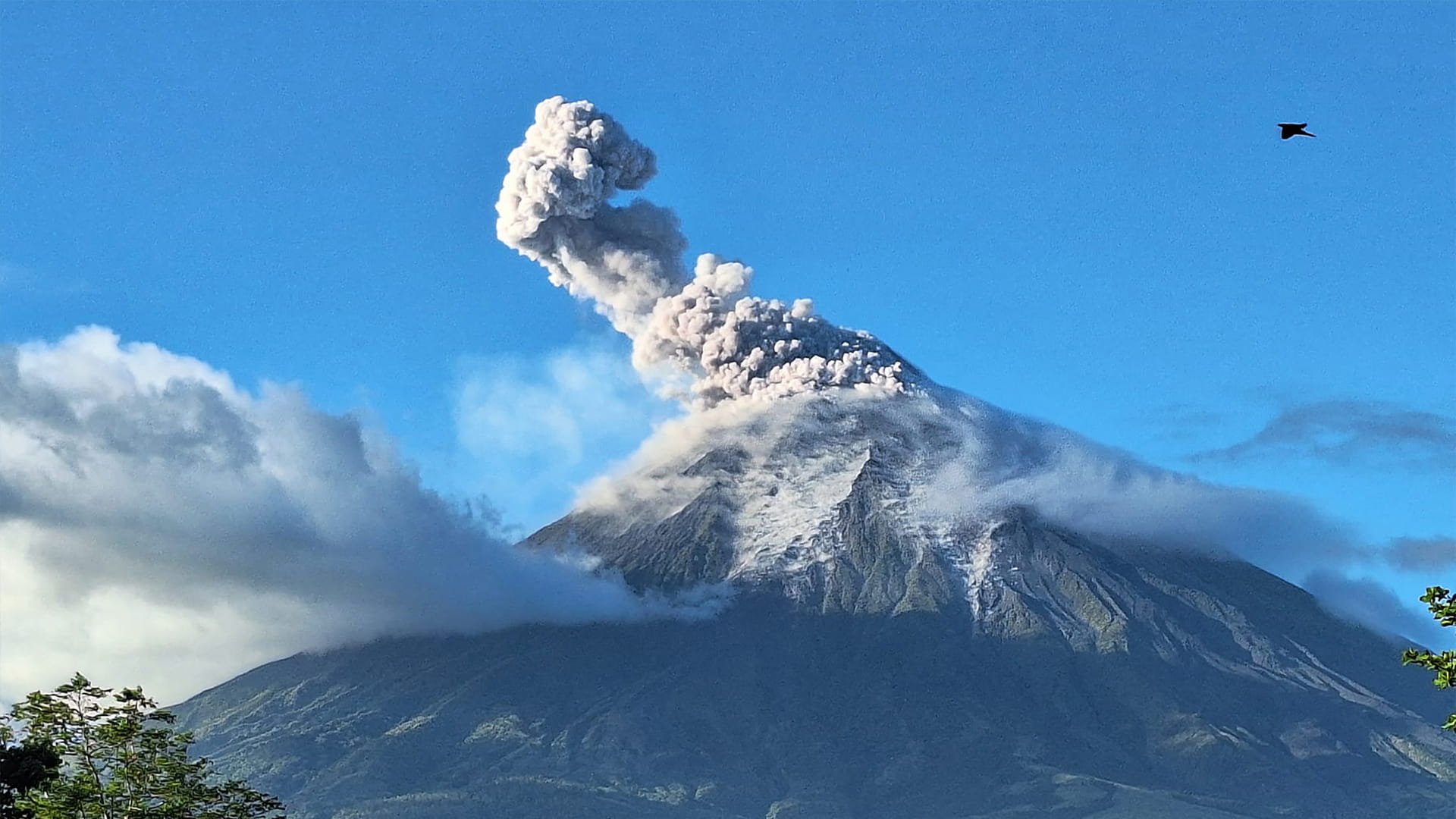 Thousands evacuated as Mayon Volcano erupts in Philippines 