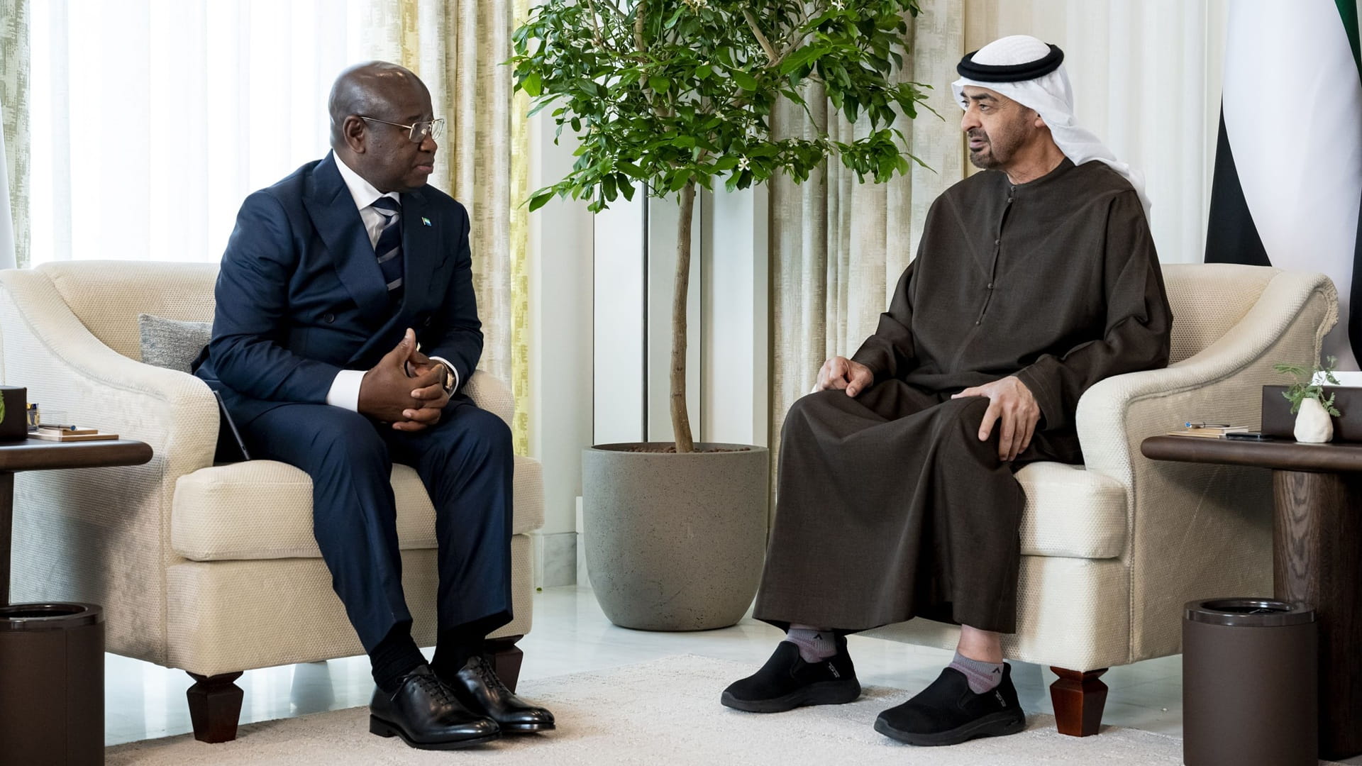 UAE President discusses cooperation with President of Sierra Leone 