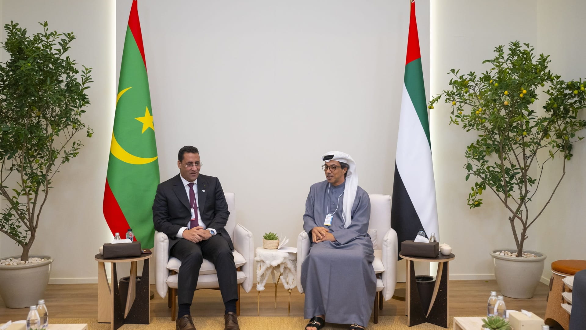 صورة بعنوان: منصور بن زايد يلتقي رئيس وزراء موريتانيا على هامش قمة الحكومات 