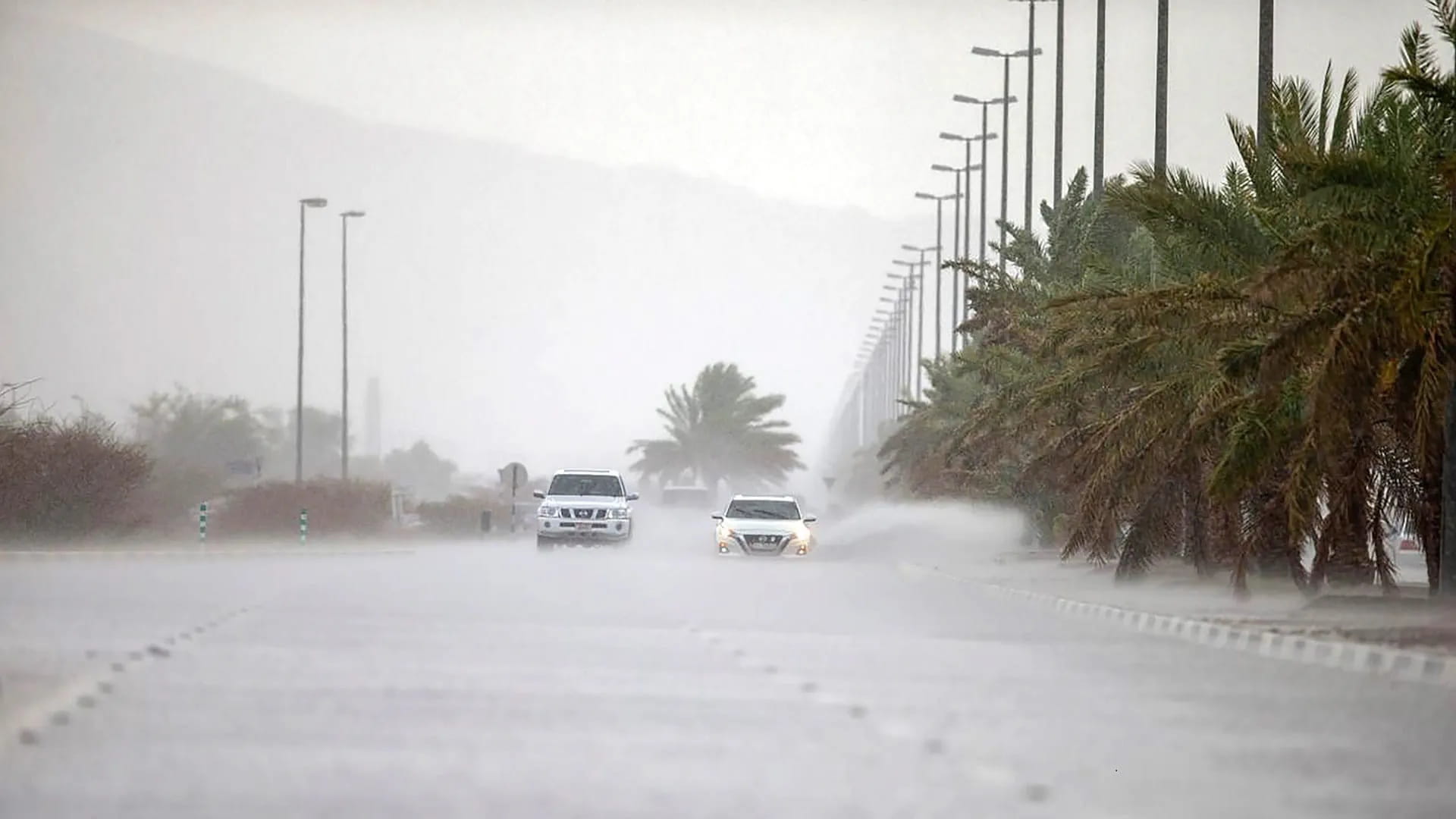 الأرصاد: طقس غائم جزئياً مع احتمال أمطار وضباب على بعض المناطق 