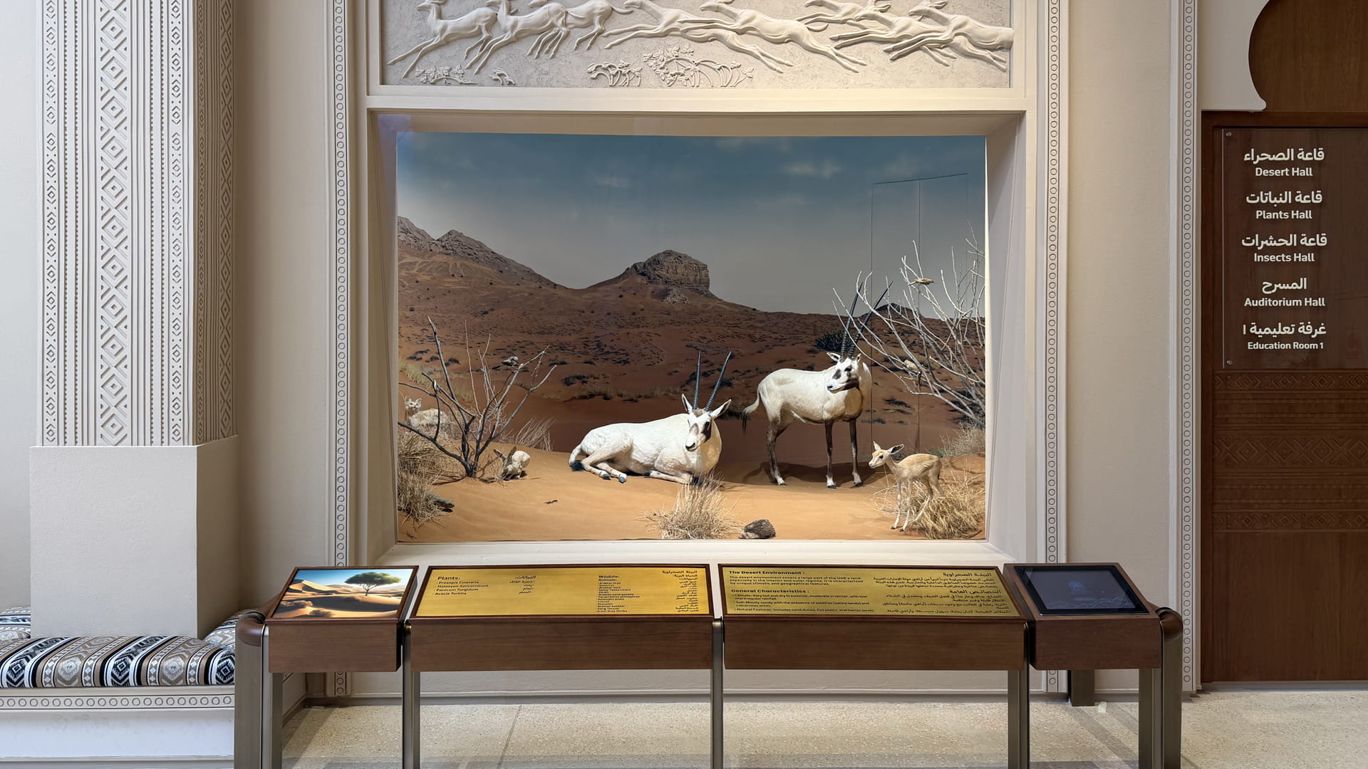 New projects in Al Dhaid enhance city development, serve residents