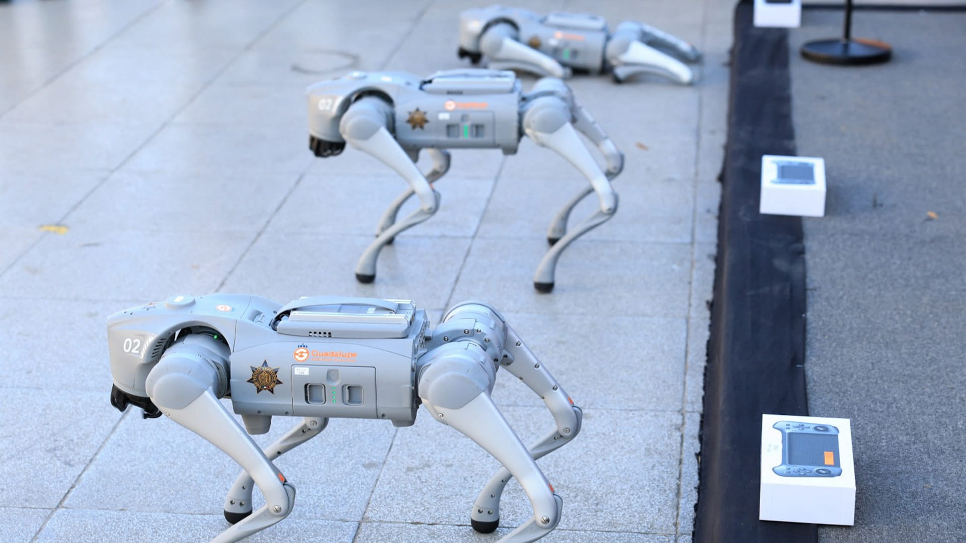Robot dogs to support Mexican police during World Cup