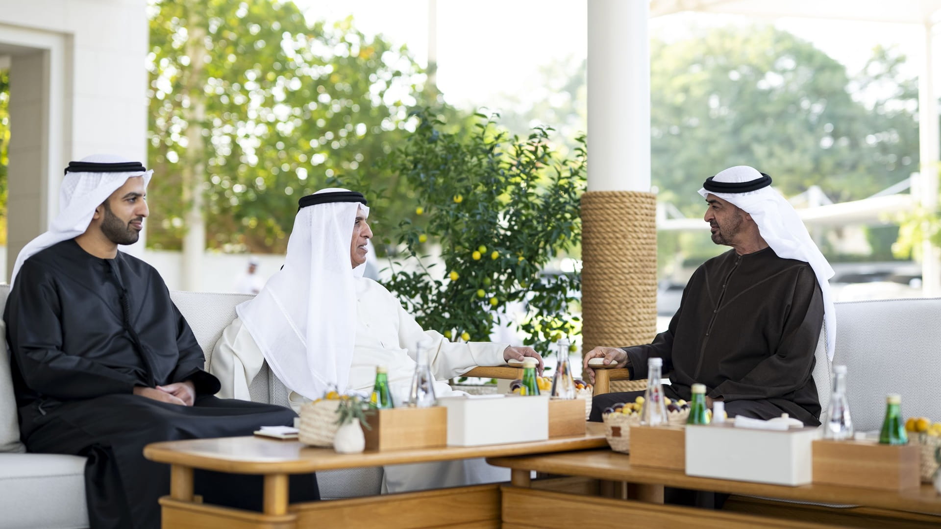 UAE President receives Ruler of Ras Al Khaimah and Crown Prince