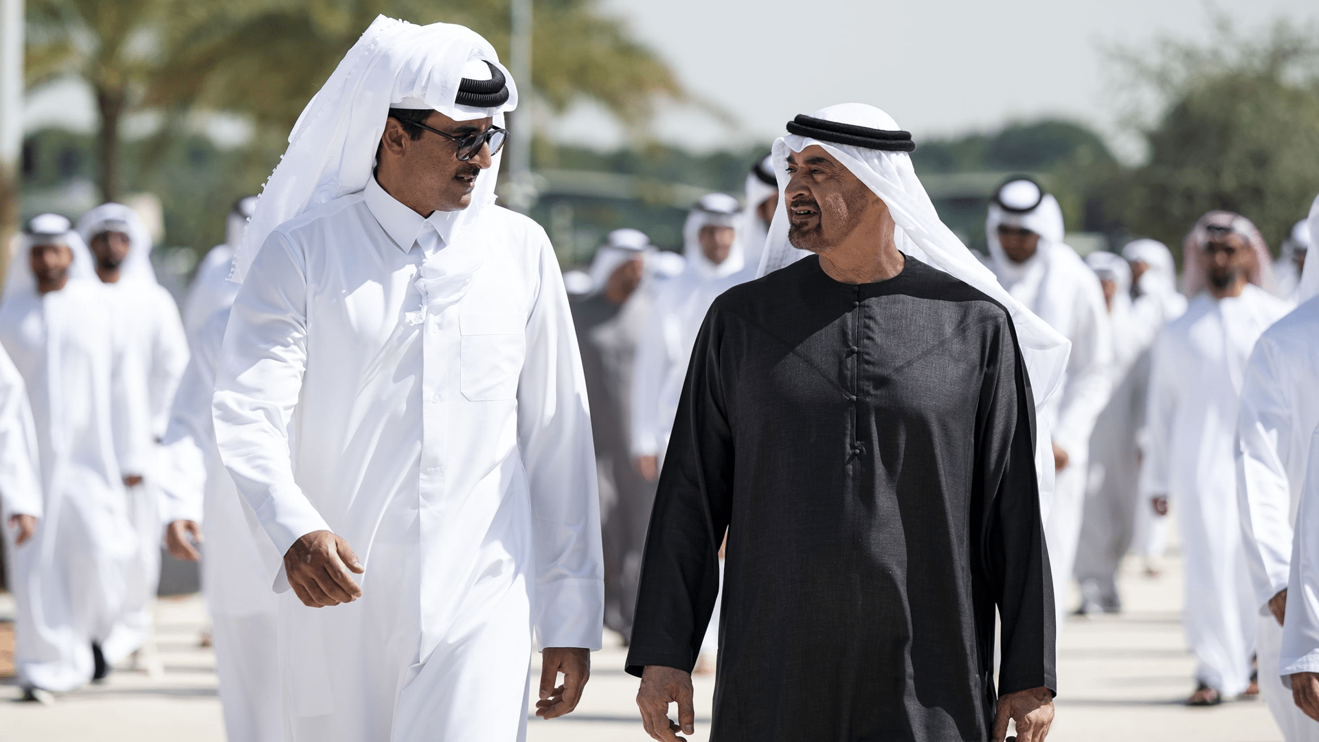UAE President and Emir of Qatar discuss fraternal ties