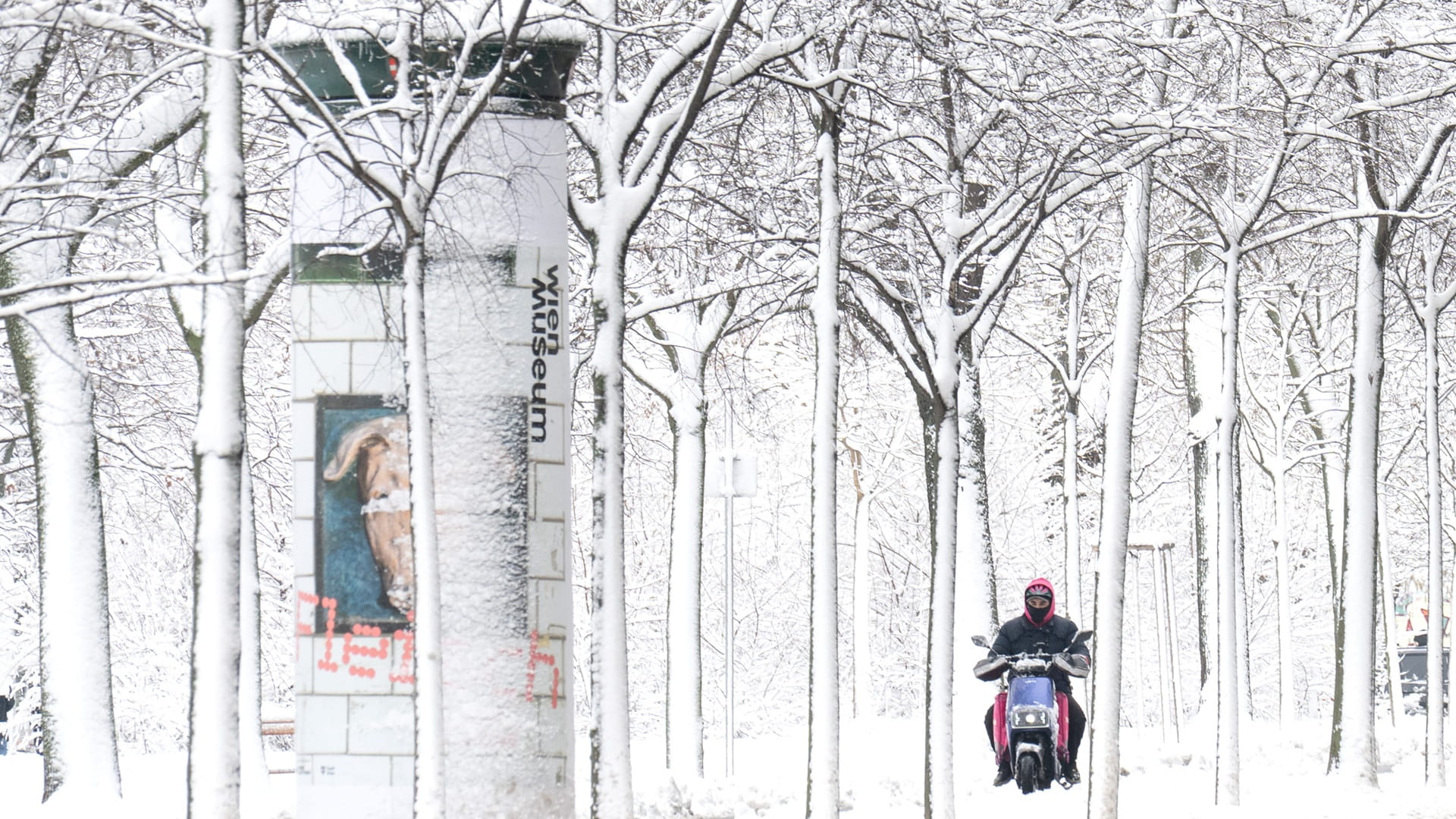 مقتل 5 أشخاص وتعطل حركة النقل جراء عاصفة ثلجية في النمسا 