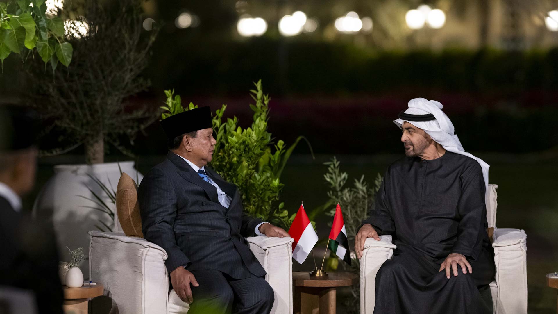 UAE and Indonesia Presidents meet to discuss bilateral ties