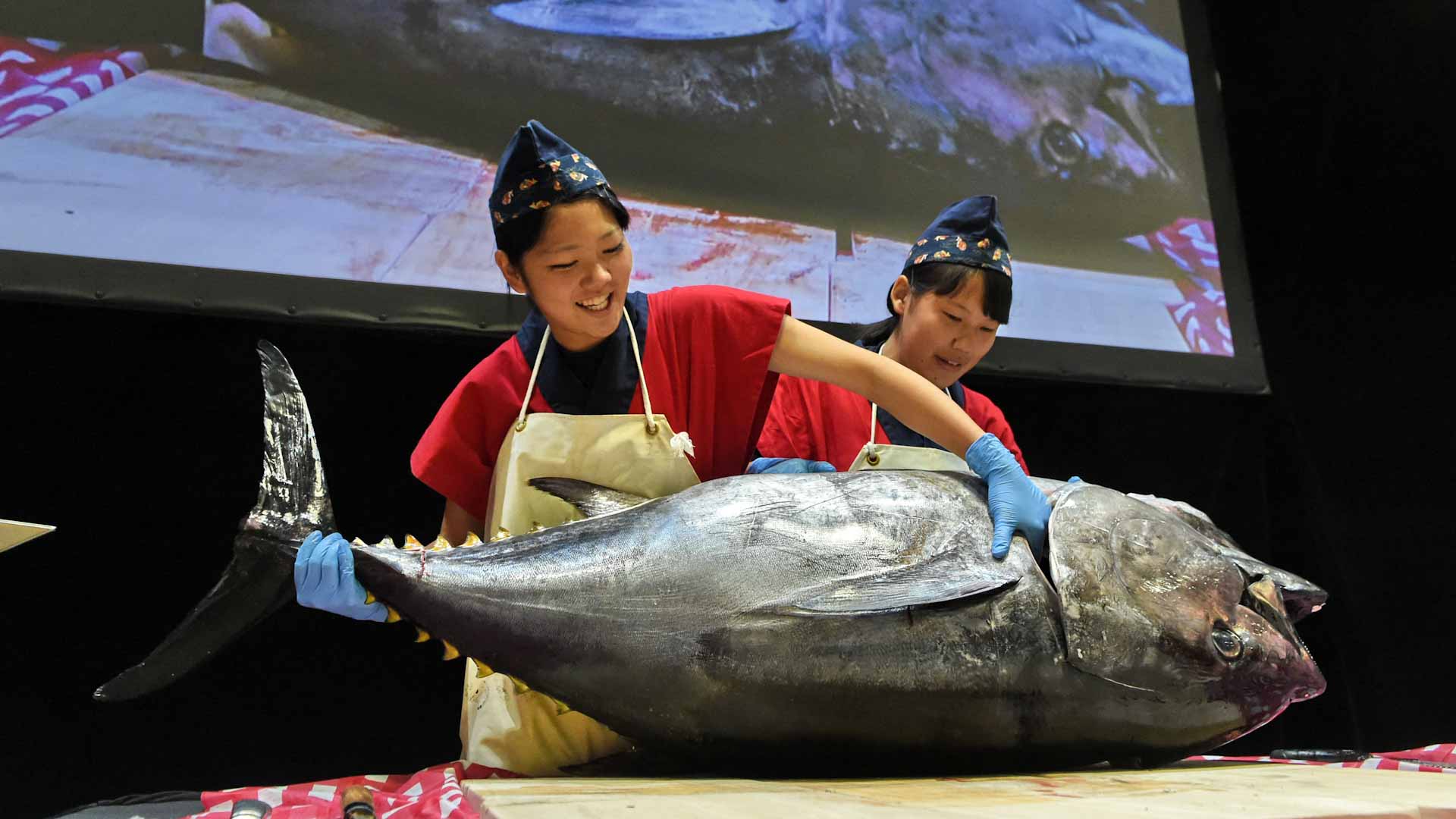 في طوكيو.. سمكة تونة بـ 3.2 مليون دولار في أول مزادات 2026