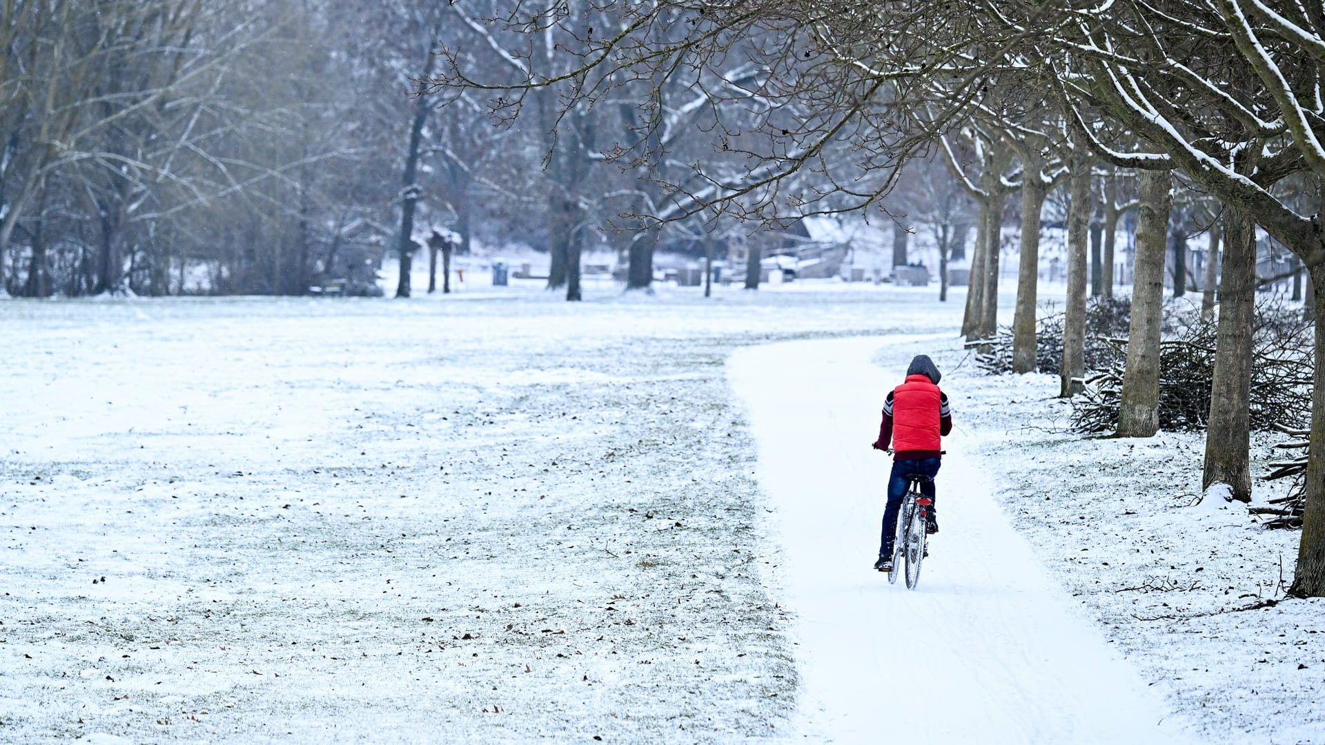 A man rides a bicycle in a snow-covered park along the banks of the river Main in Frankfurt am Main, western Germany