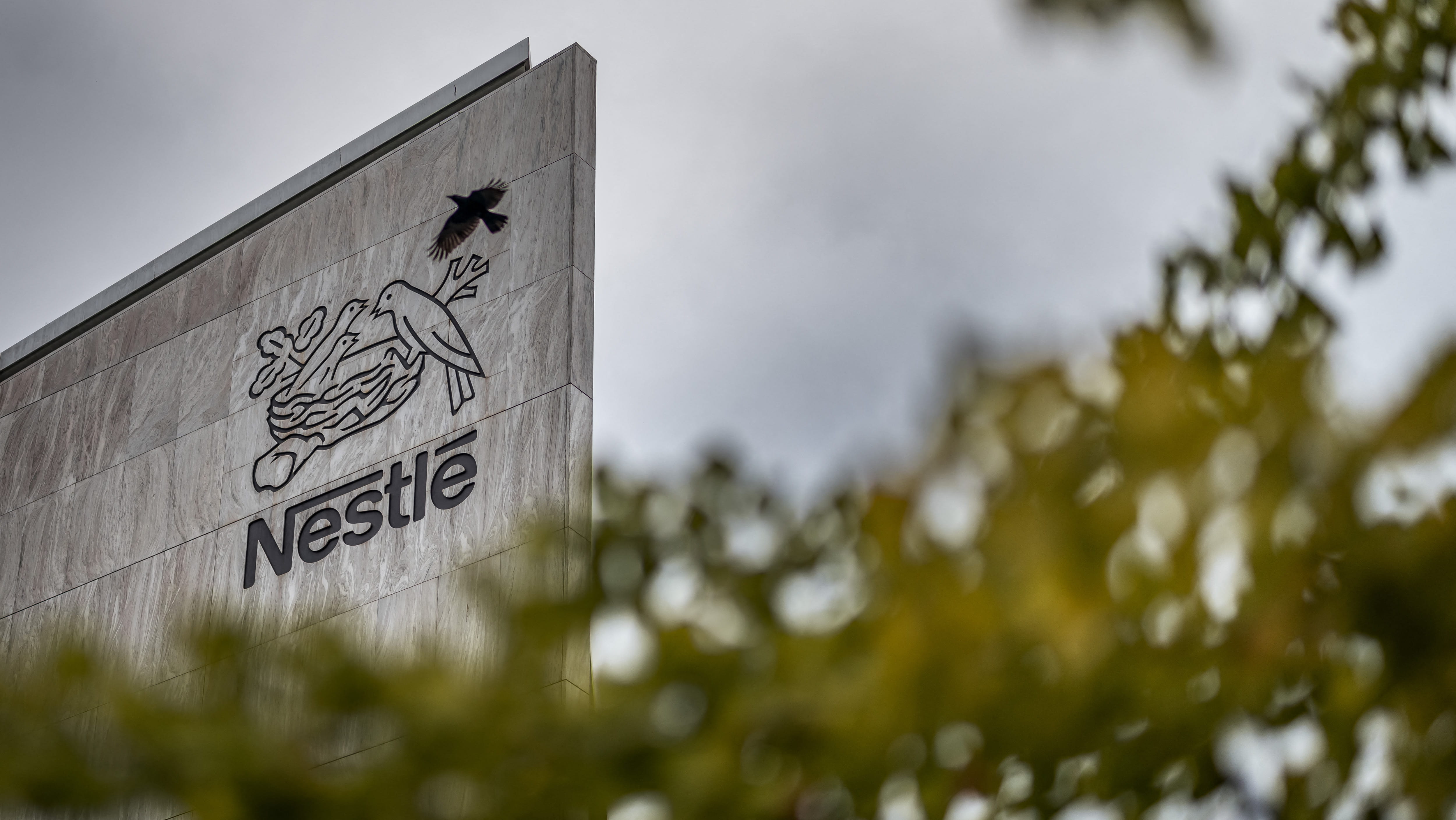 "نستله" توسع نطاق سحب حليب الأطفال إلى إفريقيا والأميركتين وآسيا 