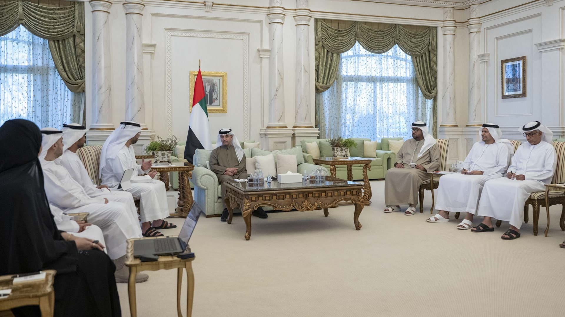 Hazza bin Zayed reviews energy and water projects in Al Ain