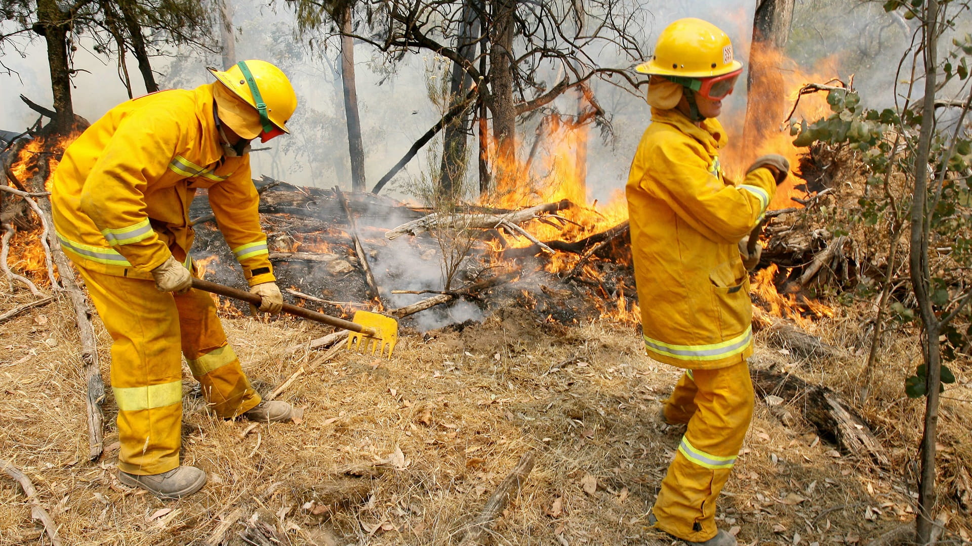 Australian firefighters warn of high-risk bushfire season