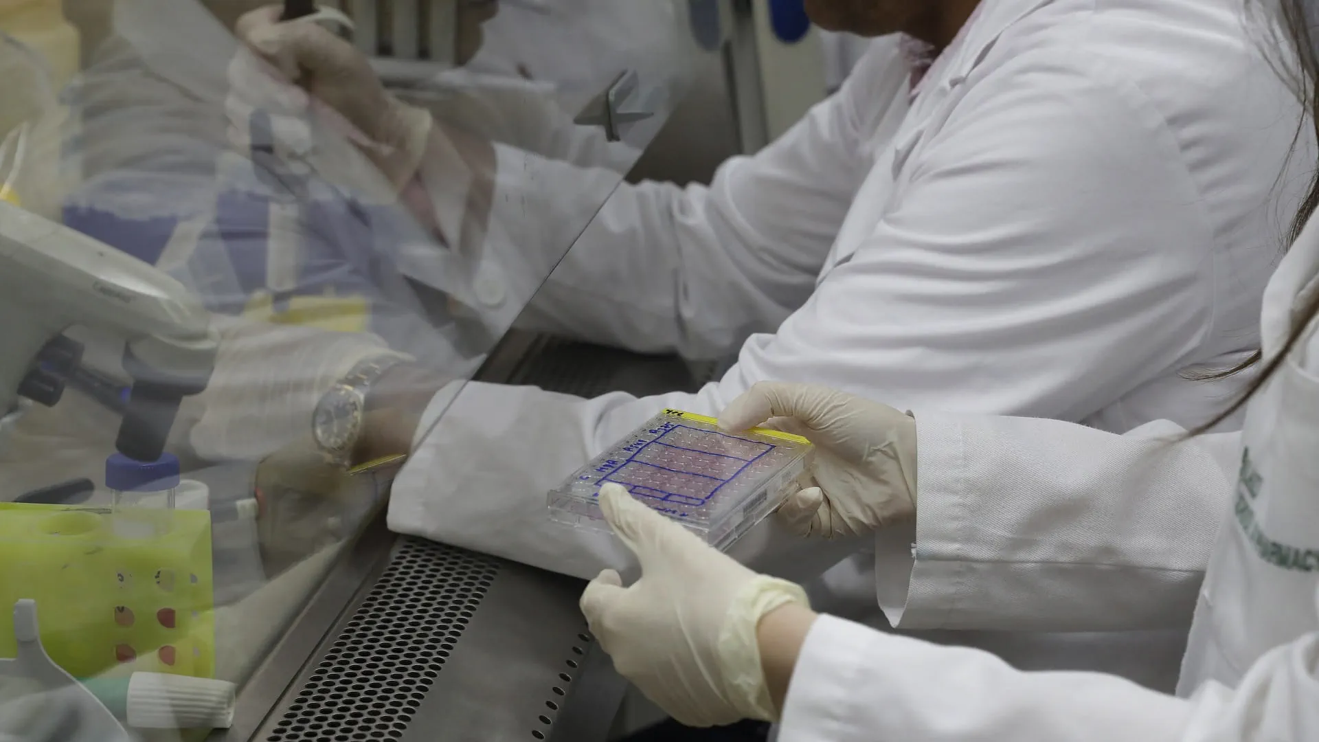 Chinese Scientists develop molecule for cancer immunotherapy