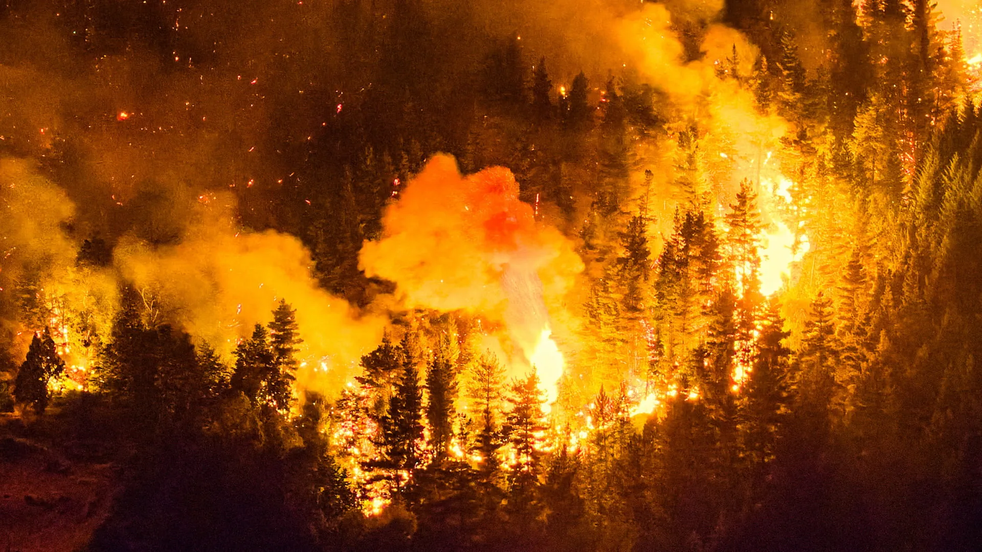 Wildfires ravage southern Argentina as rain brings relief 