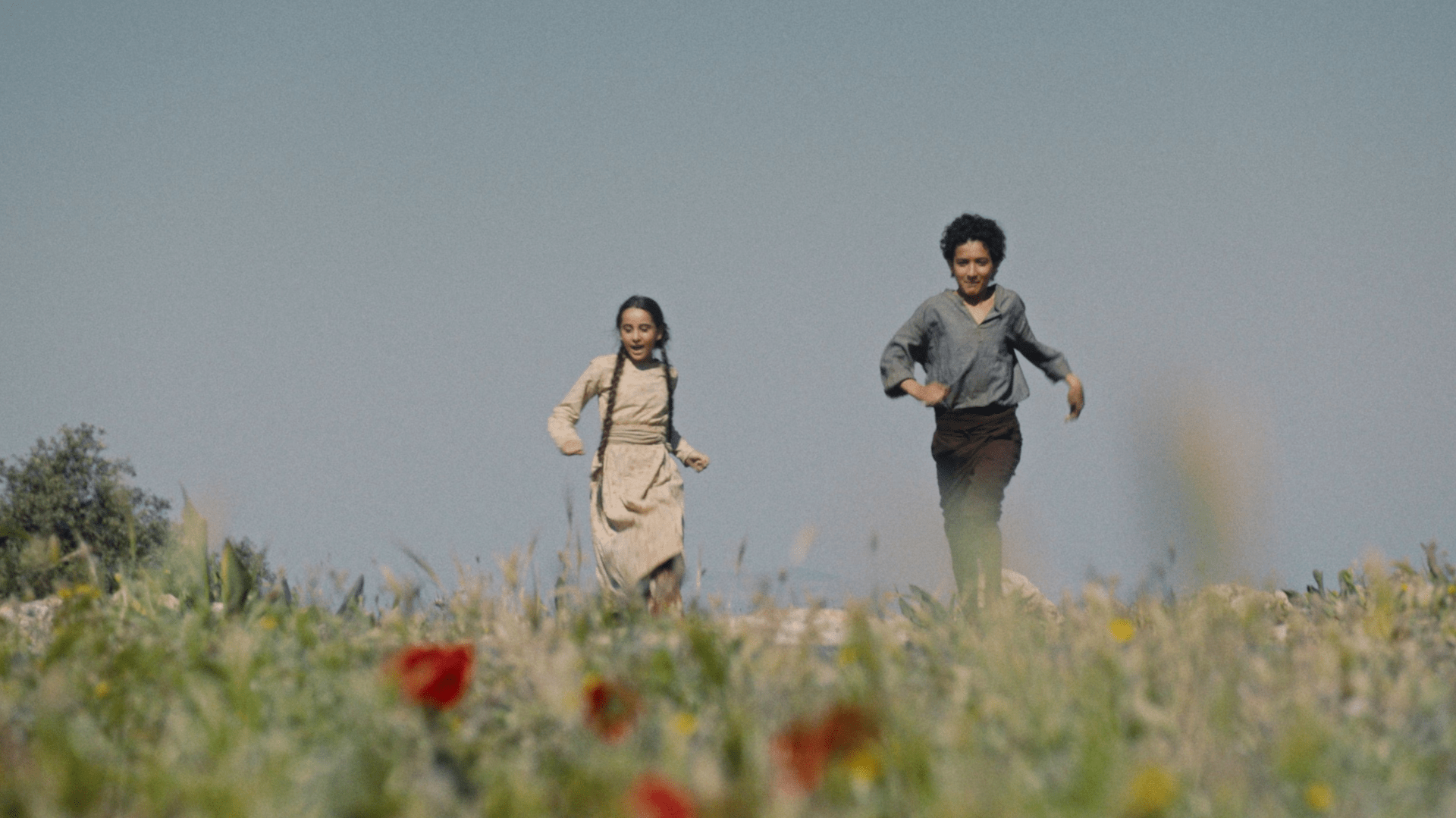 Palestine 36 to premiere in UAE after Sharjah Film Platform win