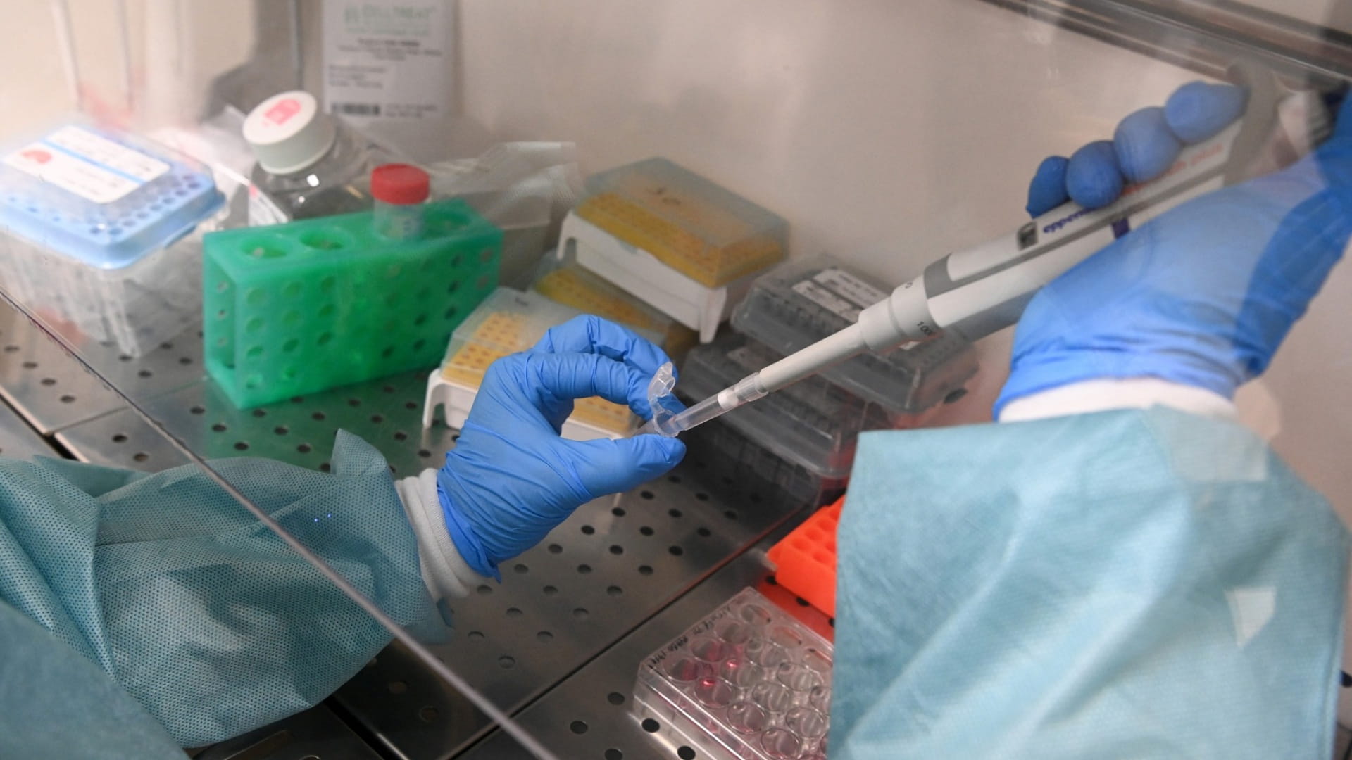 Japanese team develops glowing ‘living skin’ to signal changes