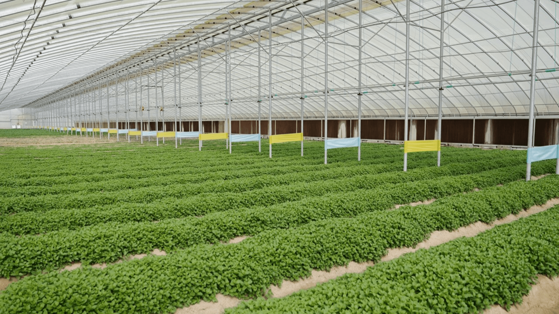 National Agriculture Center, Sheraa launch Agriboost 2026 