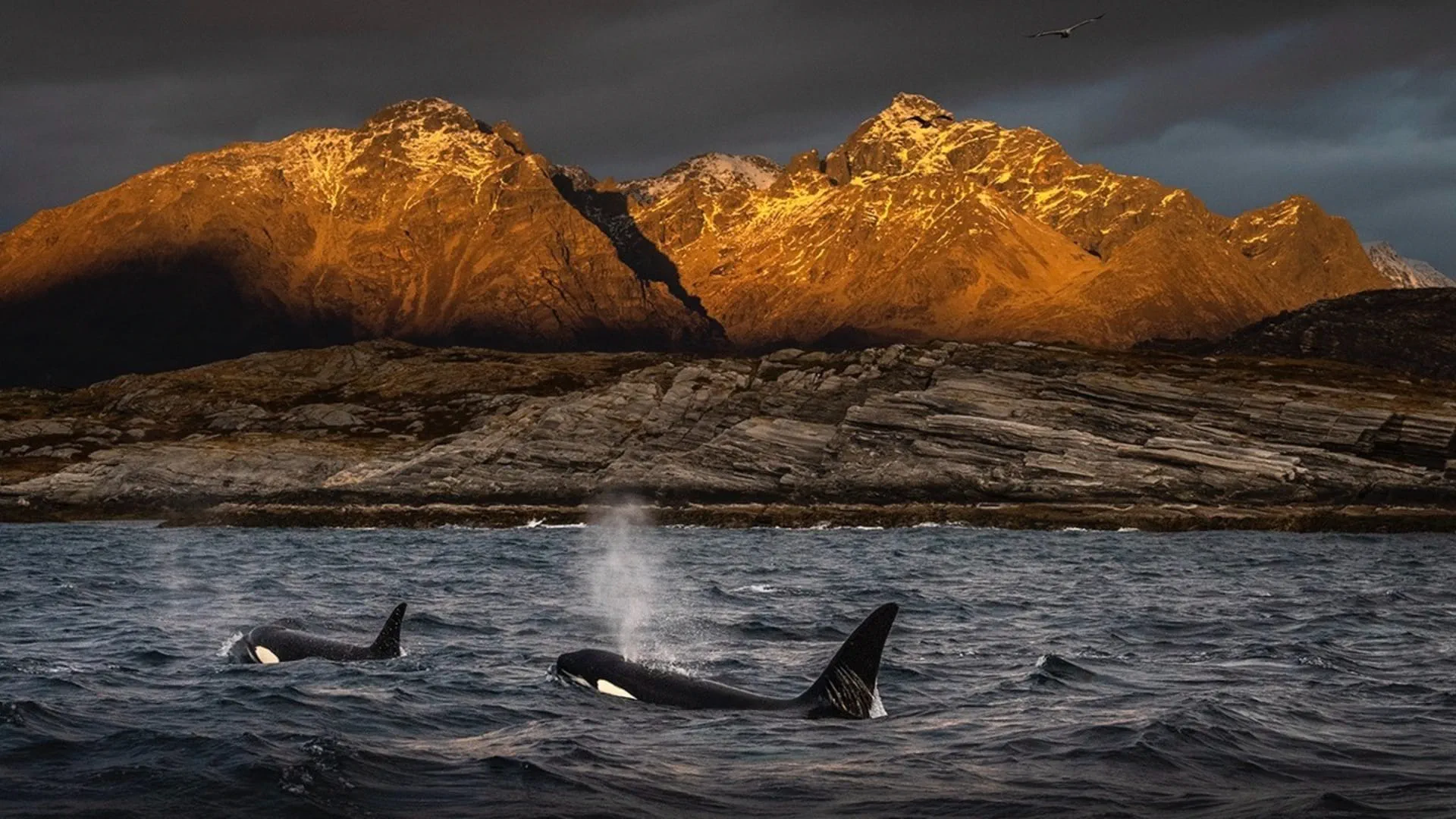 Xposure 2026 hosts ‘Troubled Waters’ Conservation Summit 