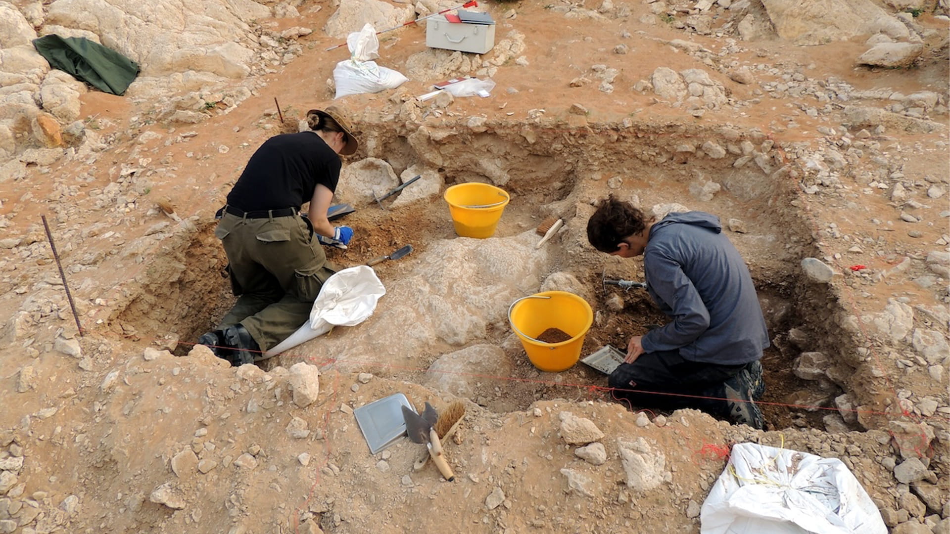 الشارقة تفتح باب الترشح لـ "منحة الفاية للبحوث" بمليوني درهم 