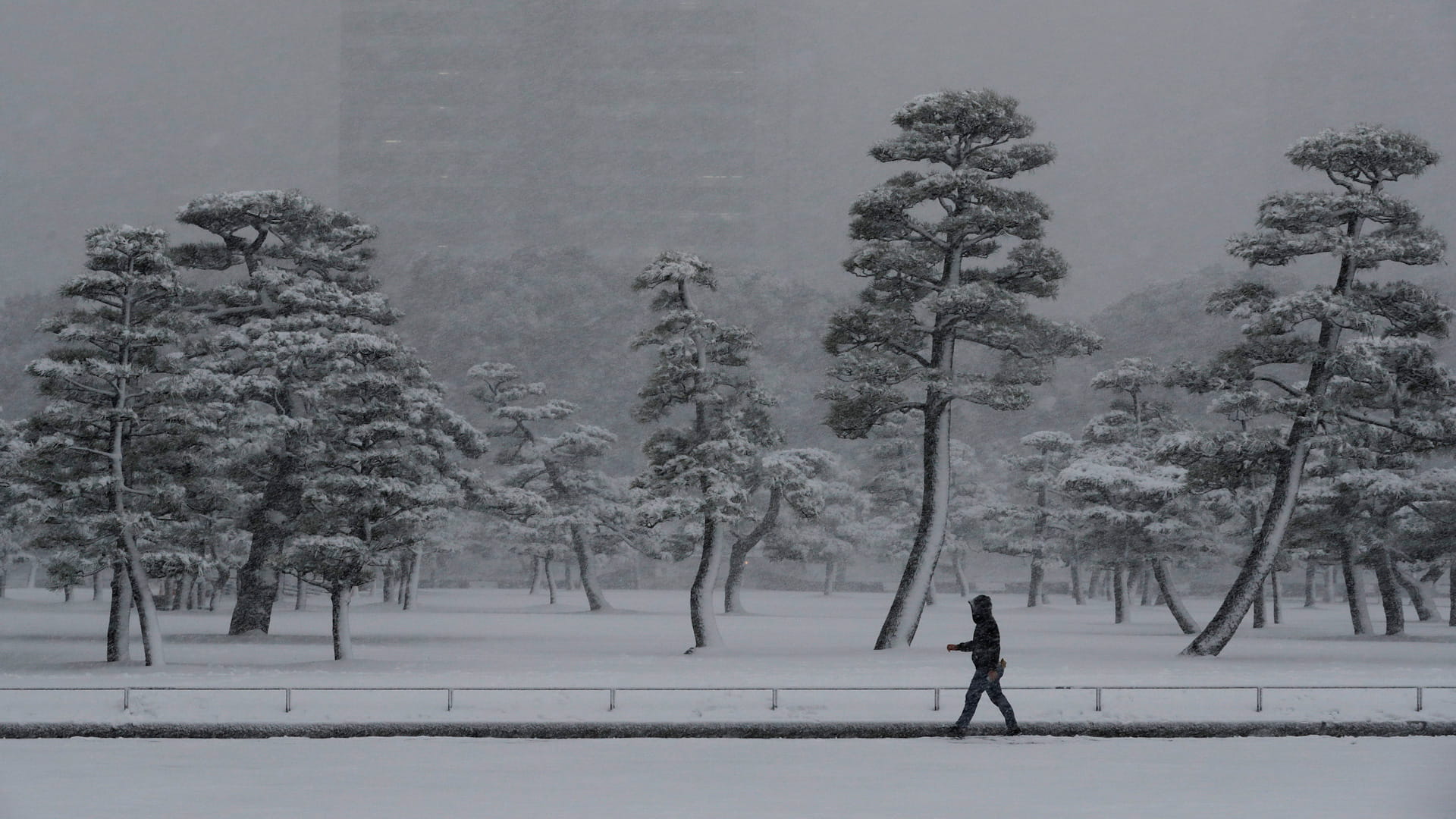عواصف ثلجية تشل حركة الطيران باليابان وتلغي عشرات الرحلات الجوية
