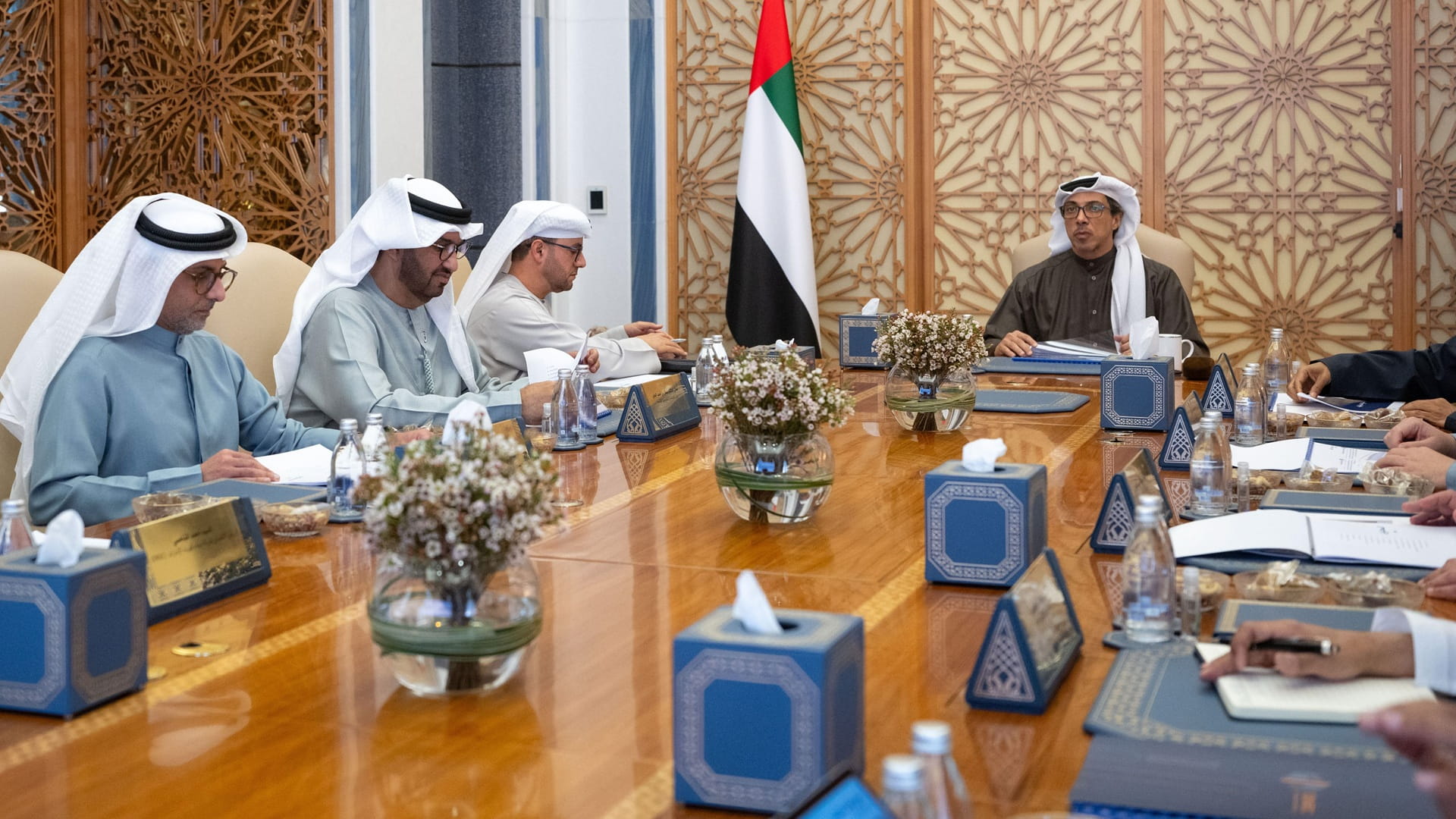 Mansour bin Zayed reviews Abu Dhabi water & electricity plans