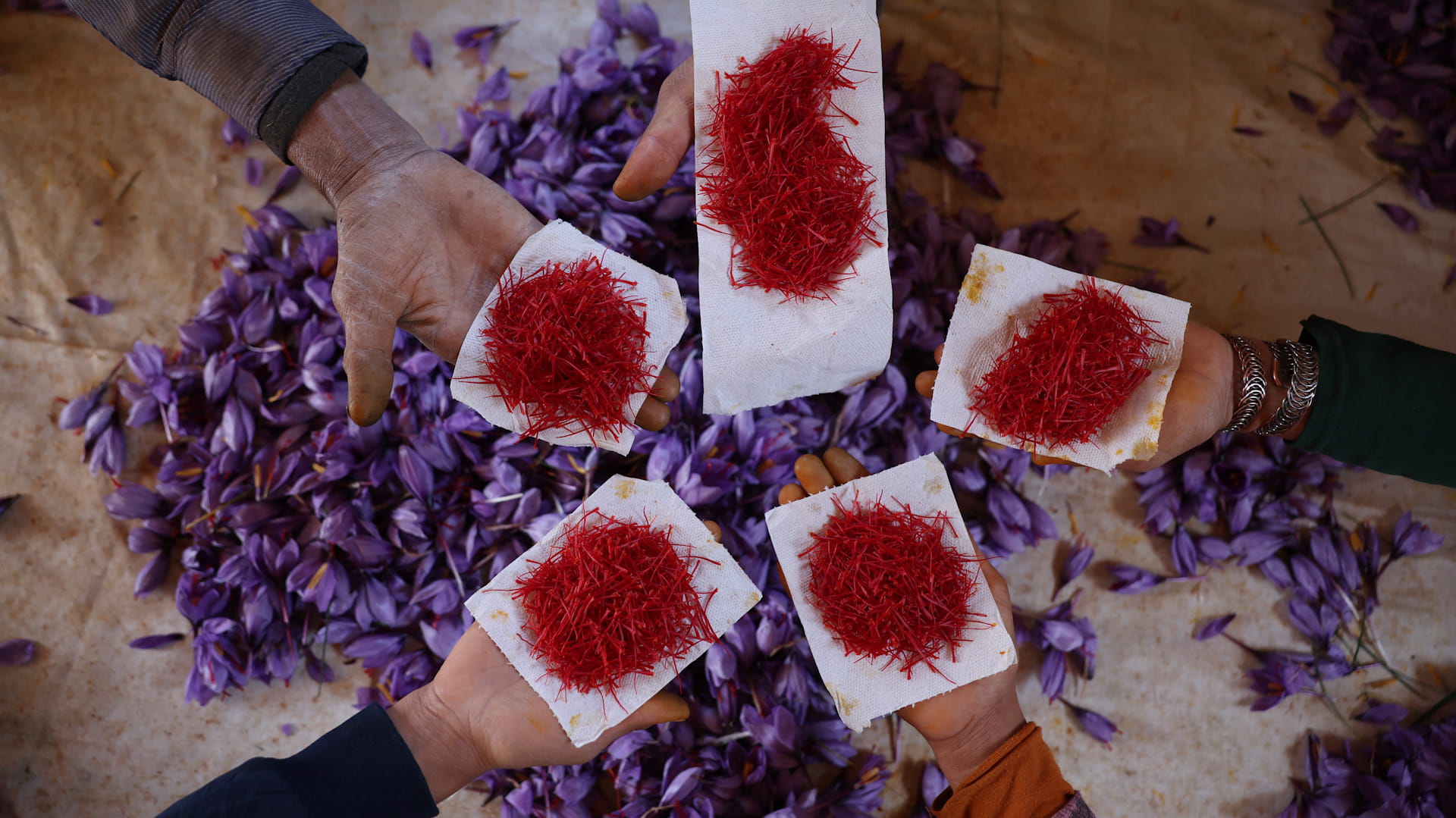 ببحث نوعي..مستخلص الزعفران يحسّن الذاكرة ويخفف القلق لدى كبار السن 