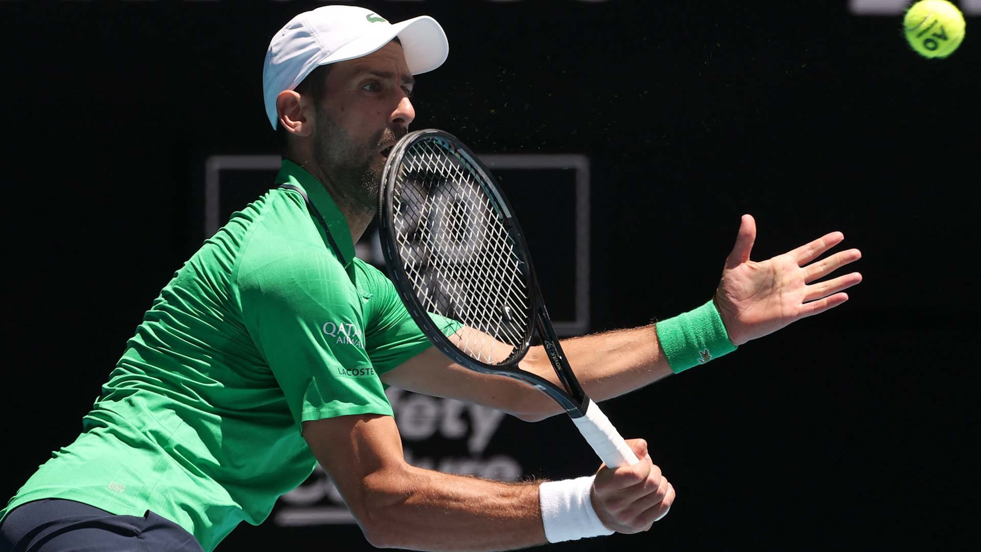 Djokovic advances in Melbourne with fig tree 