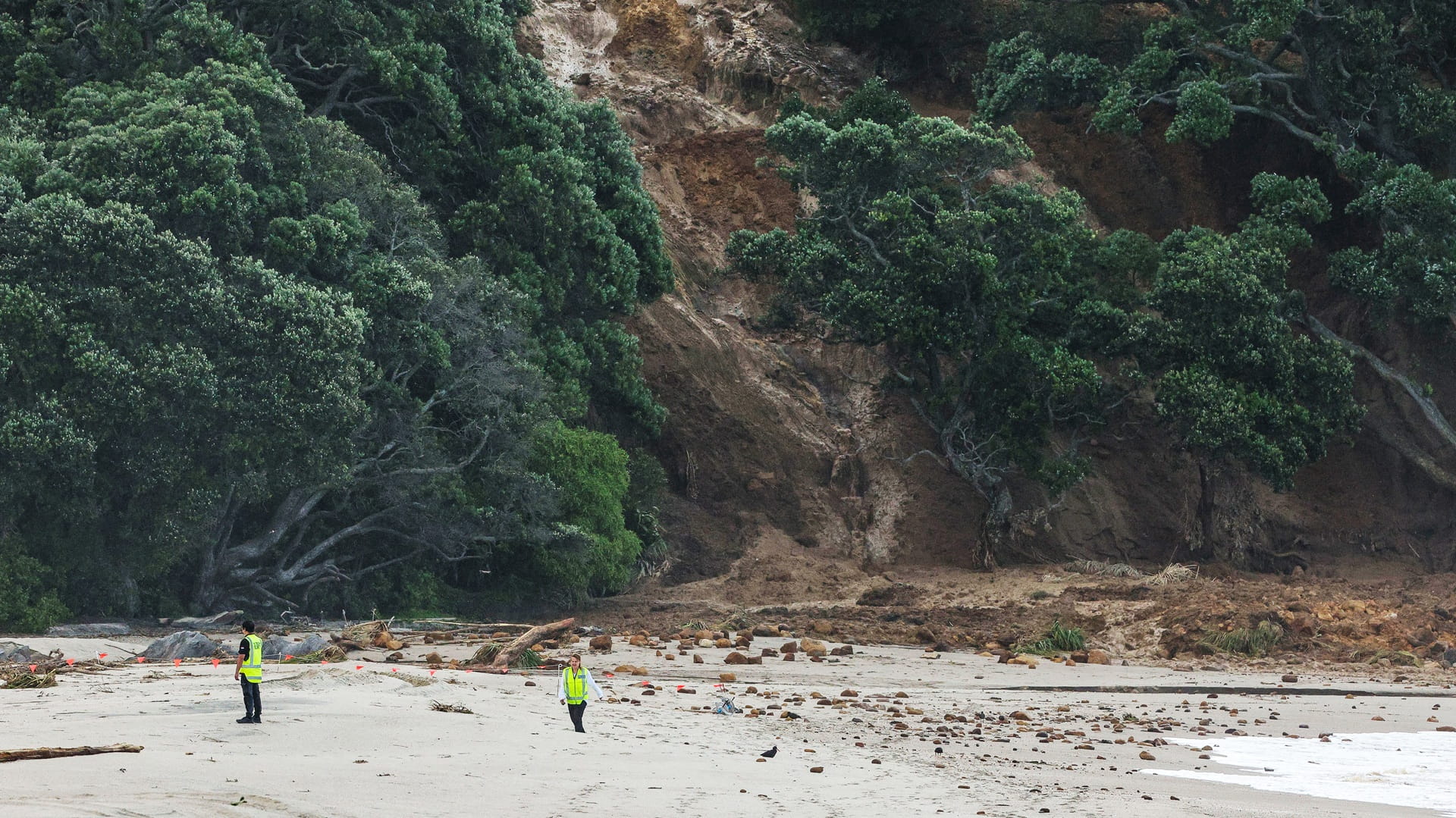 Several missing after landslip hits campsite in New Zealand