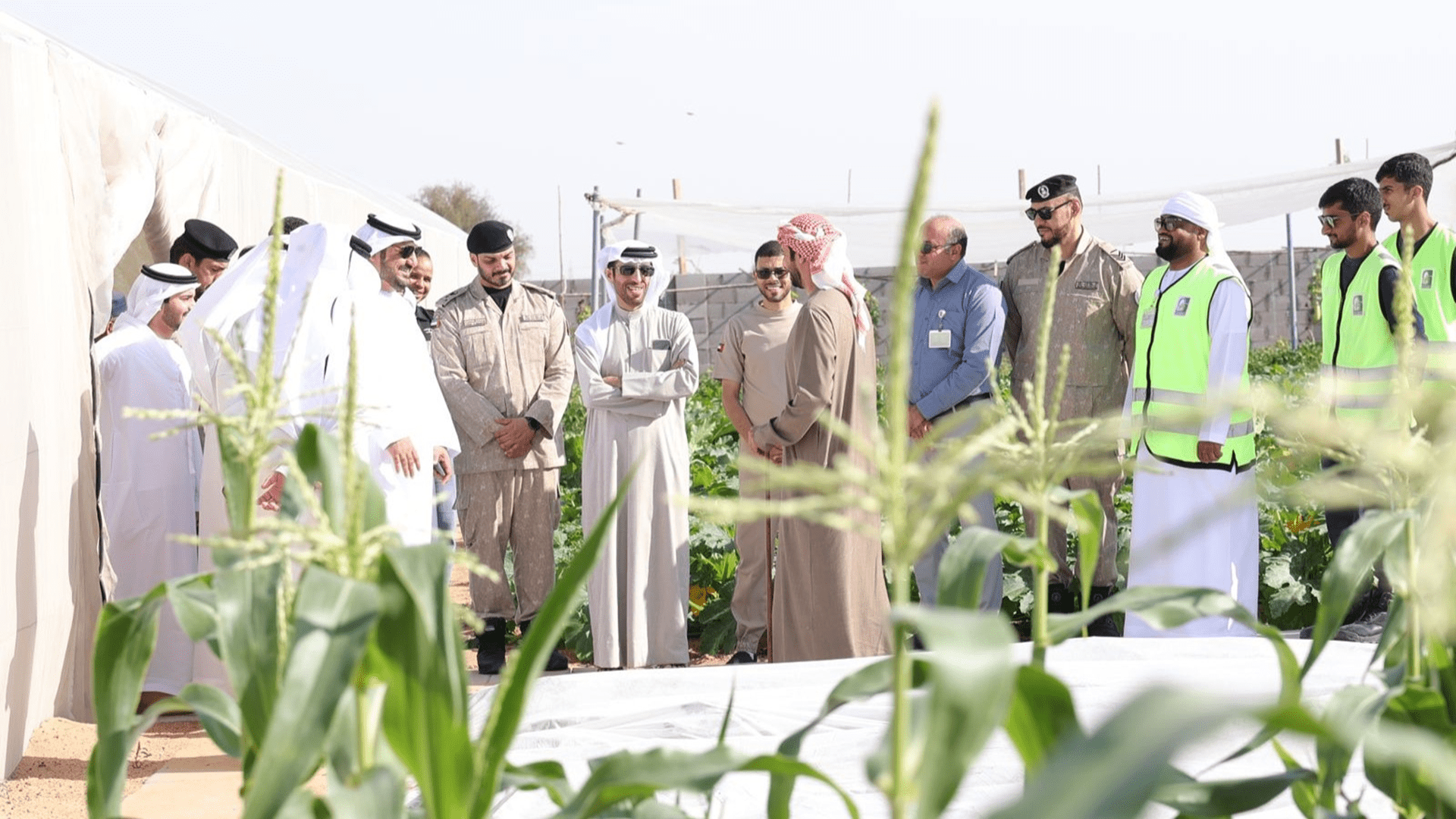 لجنة إزالة التعديات في المزارع تواصل جولاتها التفتيشية في الشارقة 