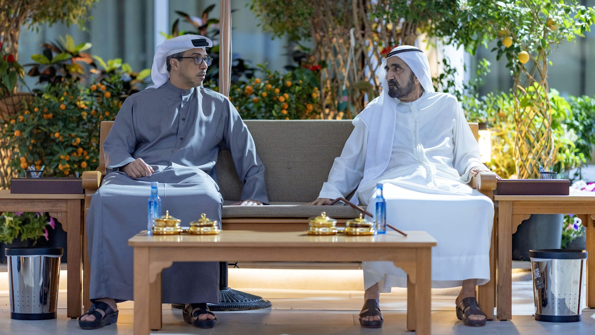 Mohammed bin Rashid meets with Mansour bin Zayed