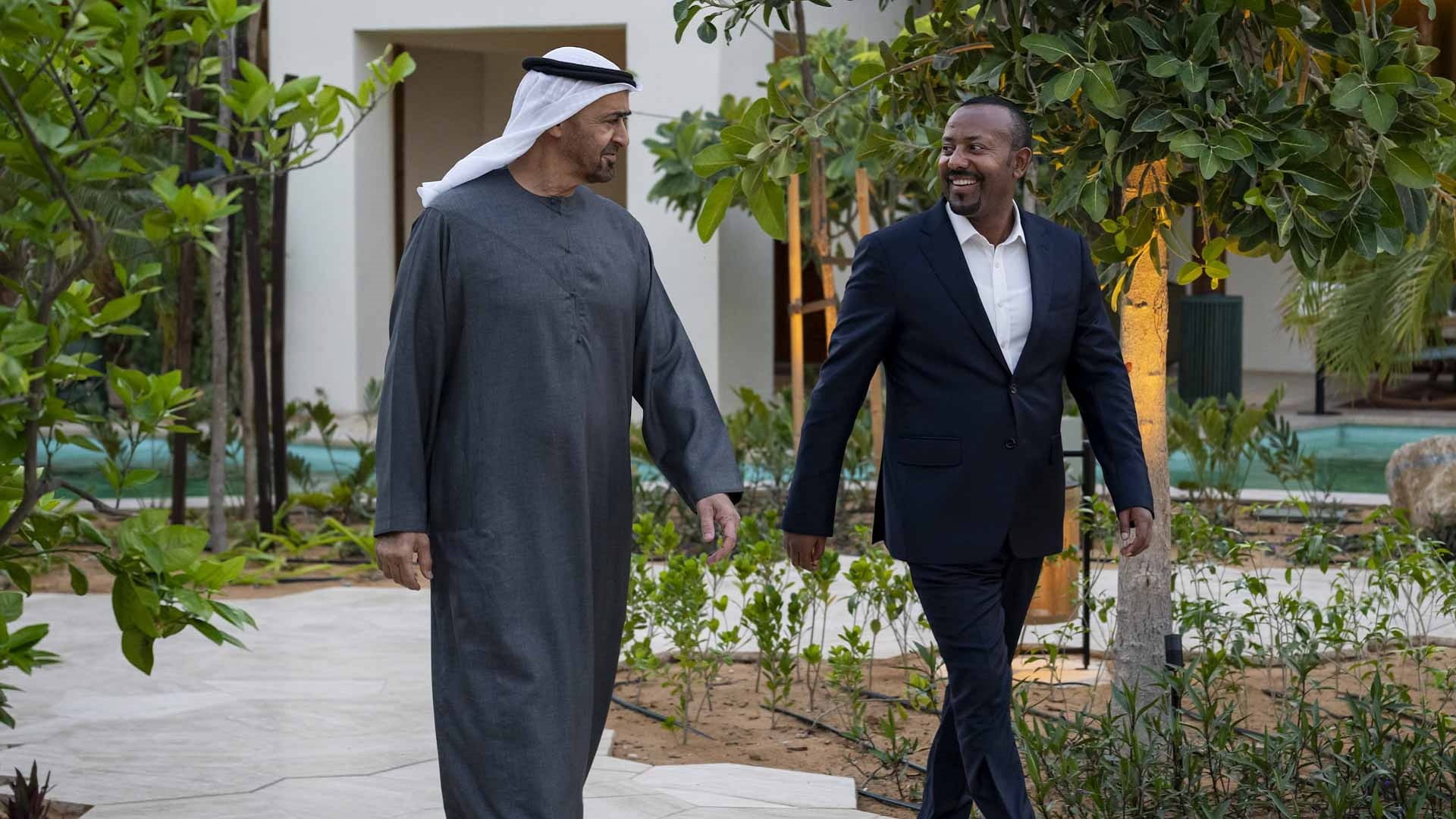 UAE President and Ethiopian PM discuss cooperation 