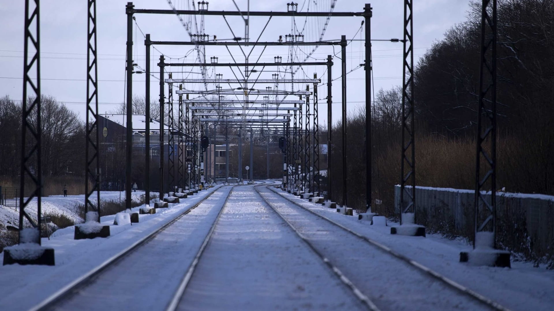 الثلوج تؤدي لتعطّل القطارات في هولندا وإلغاء بعض الرحلات