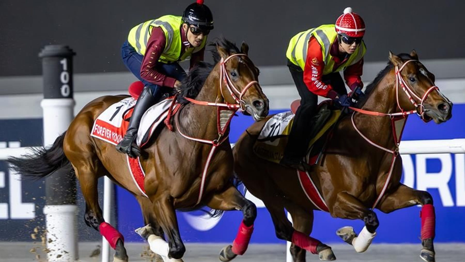 صورة بعنوان: 9 أشواط ونجوم عالميون يتألقون في النسخة الـ30 من كأس دبي للخيول 