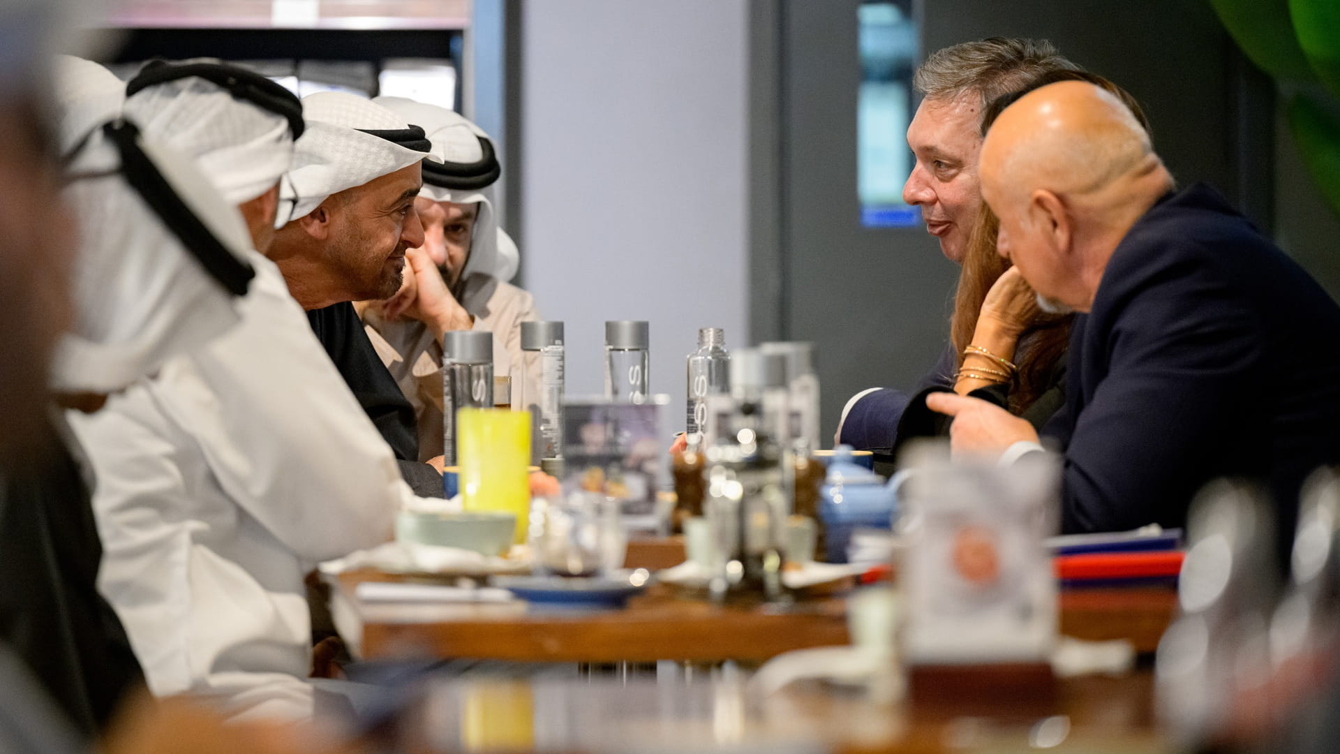 UAE and Serbian Presidents discuss bilateral relations  