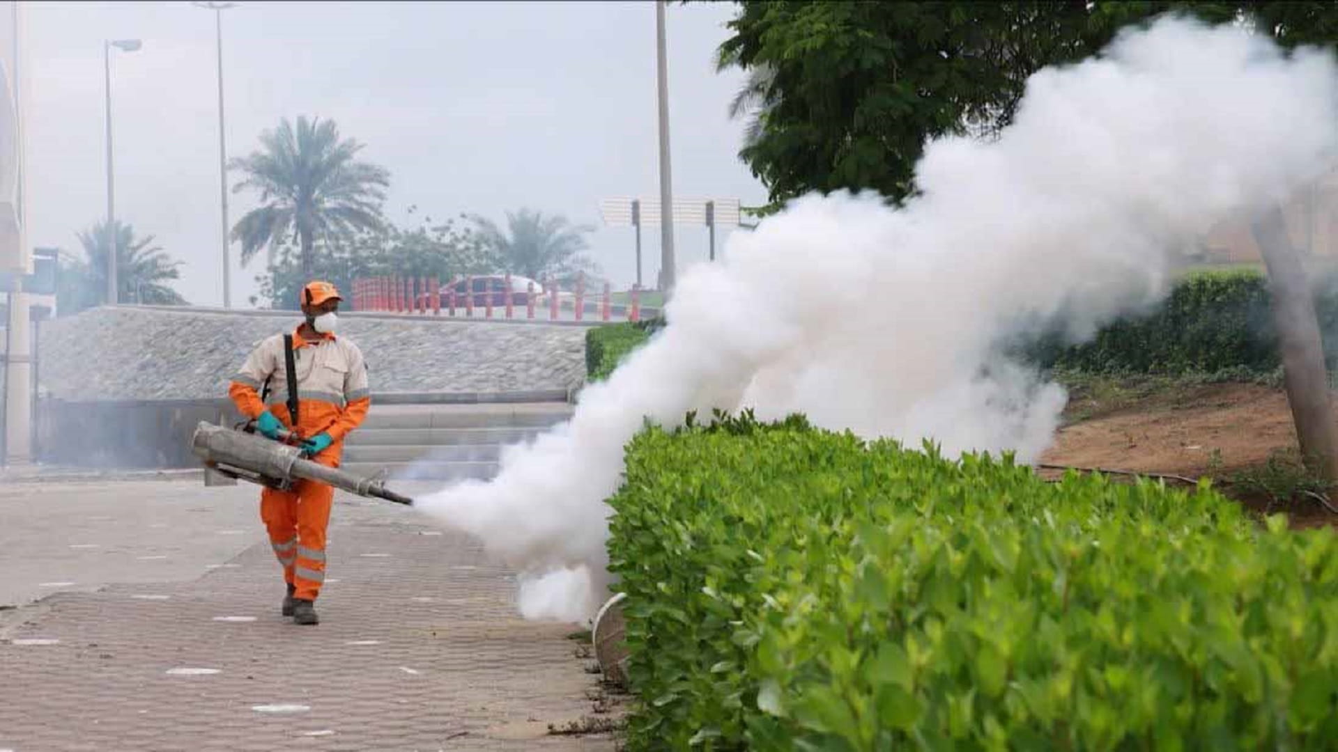 Sharjah Municipality launches rapid response to standing water