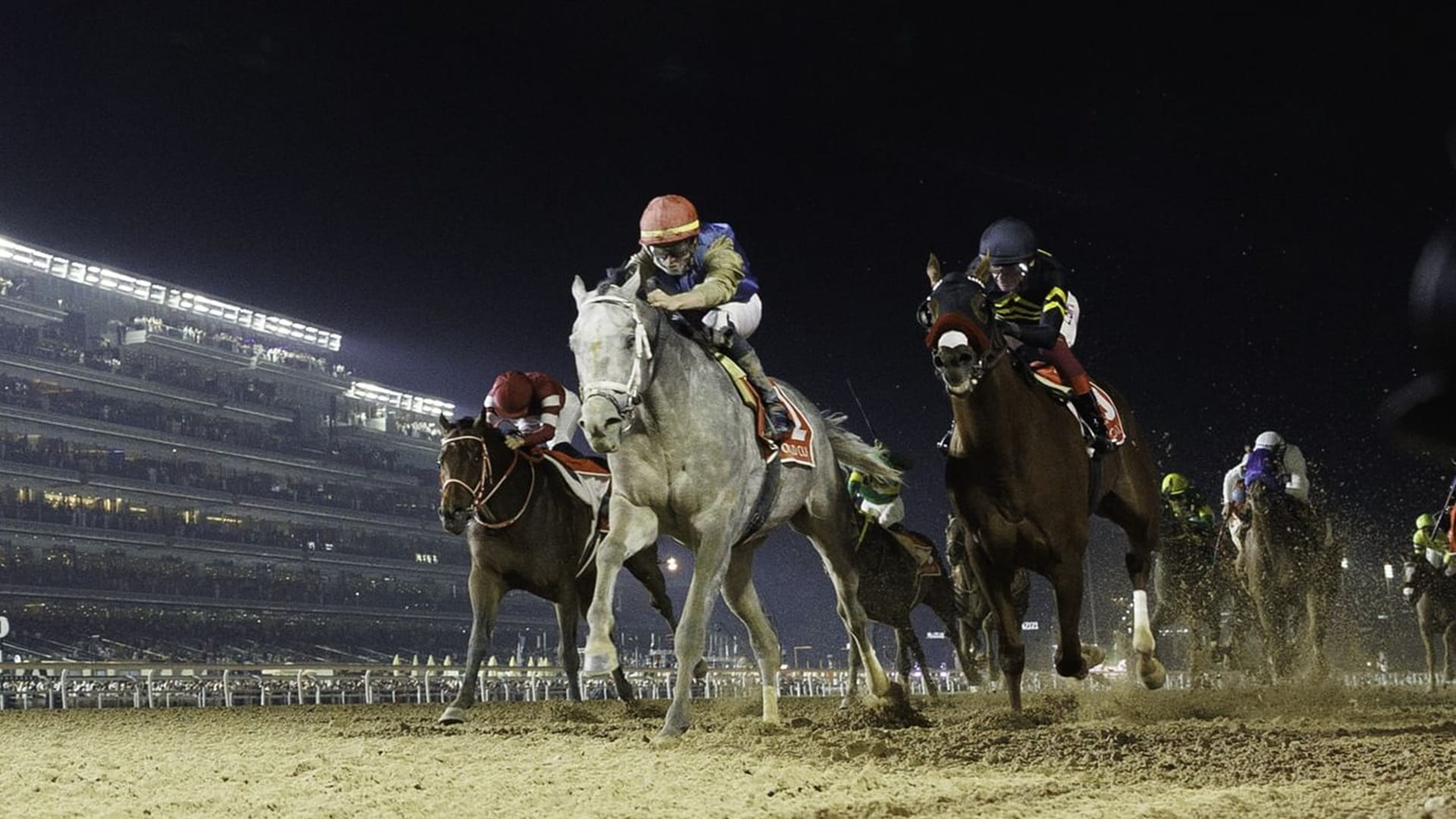 100 جواد يتنافسون في النسخة الـ30 من كأس دبي العالمي غداً 