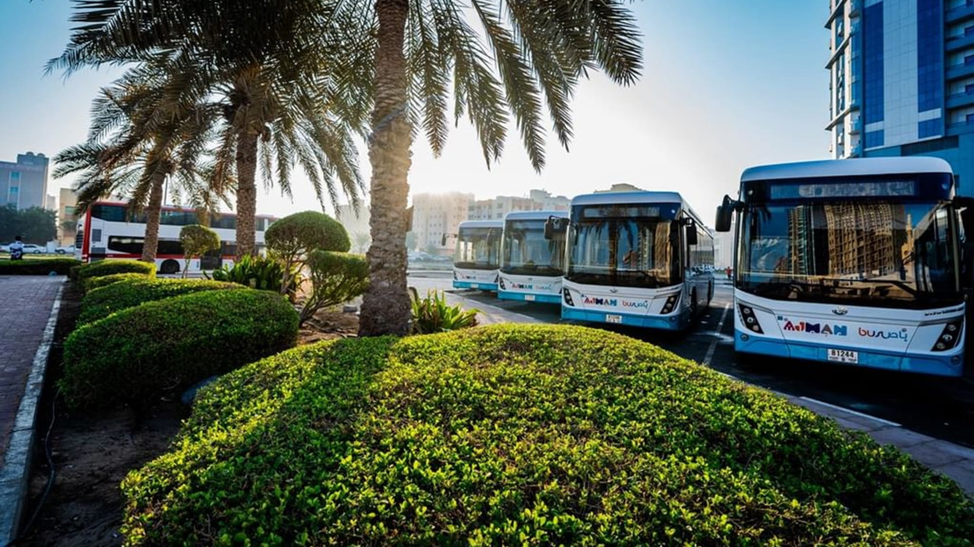 عجمان تعلن عودة خدمات النقل إلى وضعها الطبيعي في الإمارة