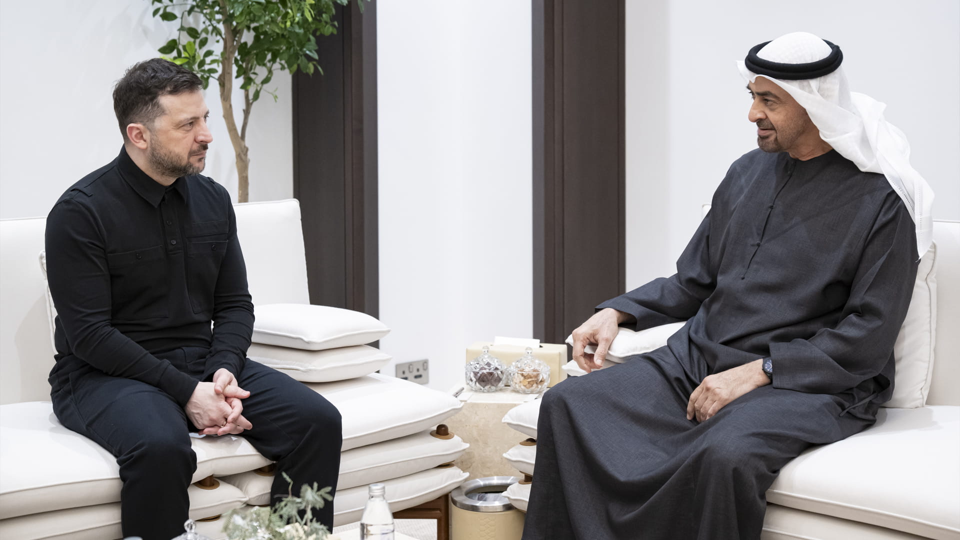 UAE and Ukrainian Presidents discuss regional developments
