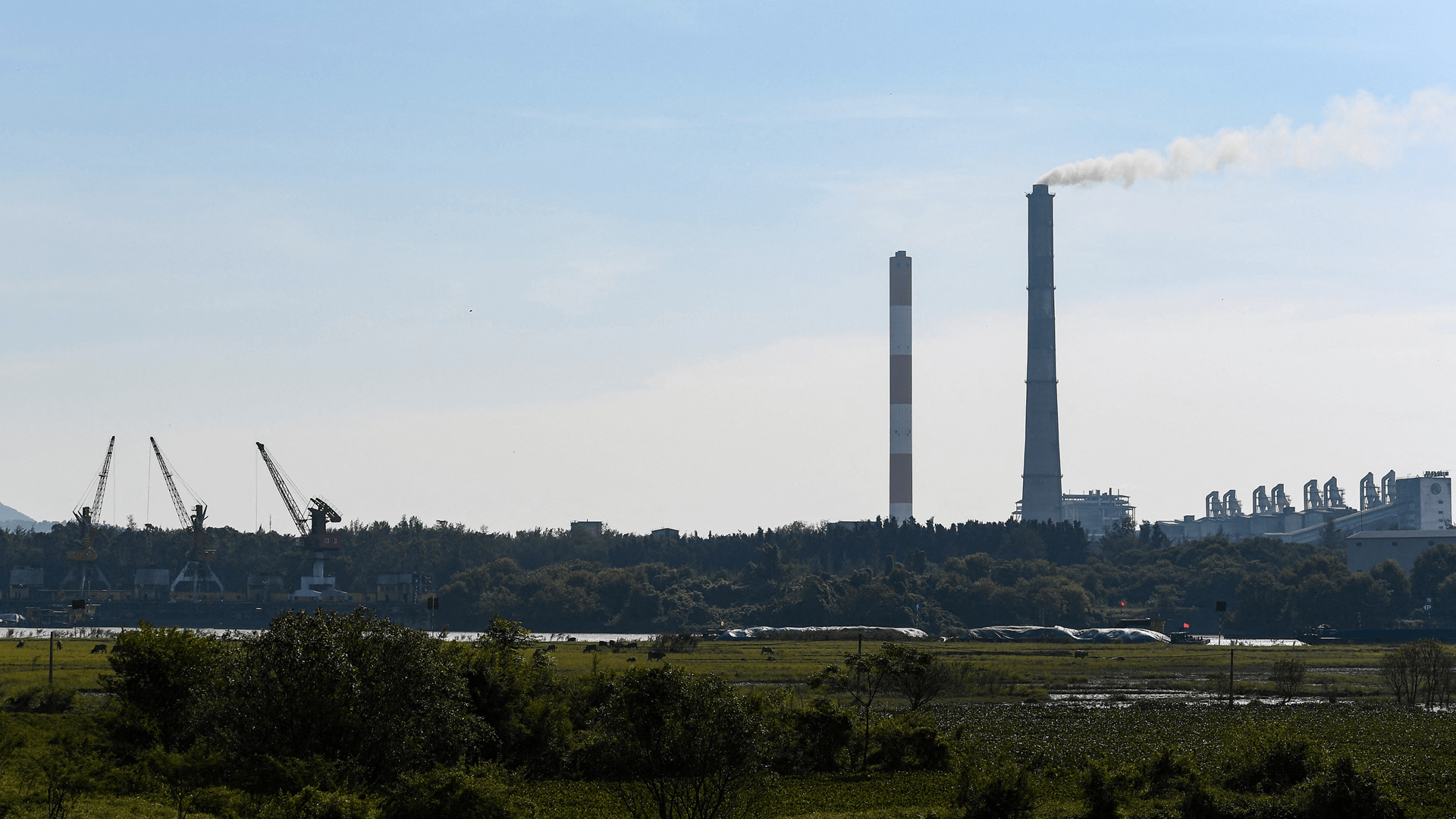 Vietnam arrests 74 over falsified environmental data 