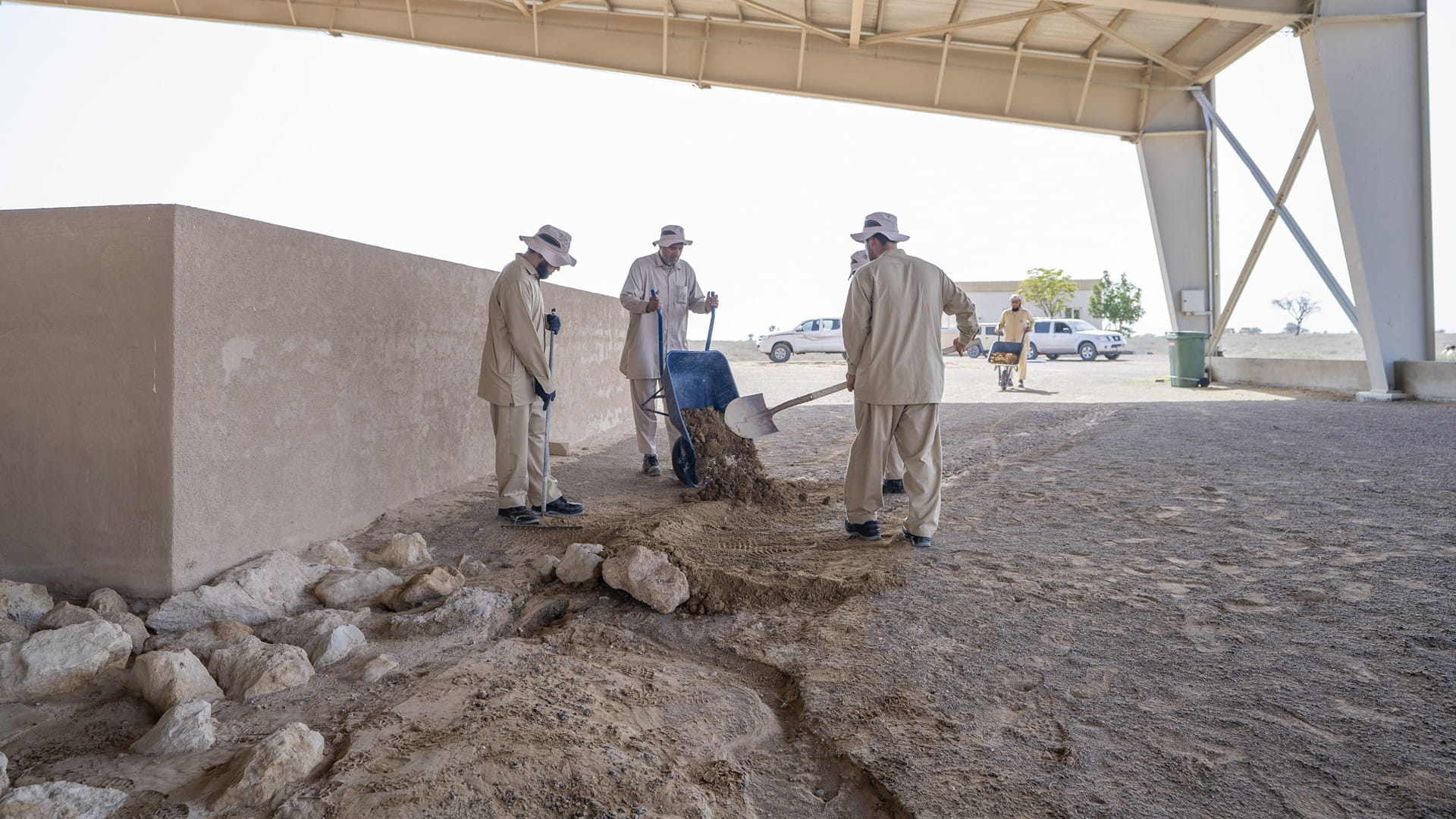 "الشارقة للآثار" تؤكد جاهزيتها لحماية مواقع التراث خلال منخفض العزم