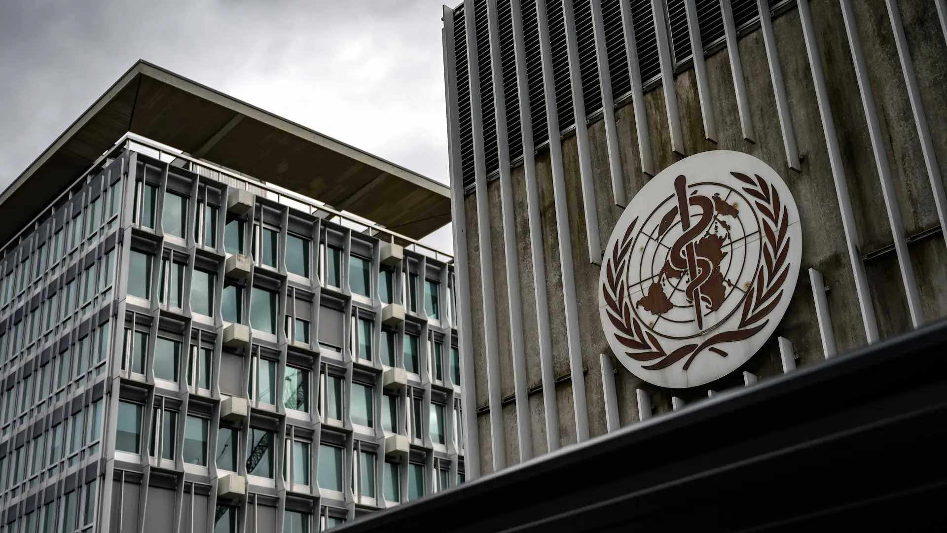 WHO confirms three deaths from Hantavirus