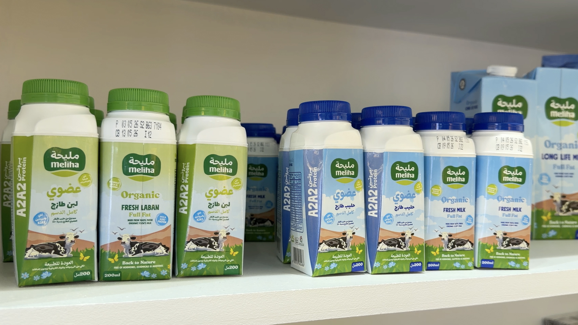 Image for the title: EKTIFA unveils 4 organic products at MIITE 
