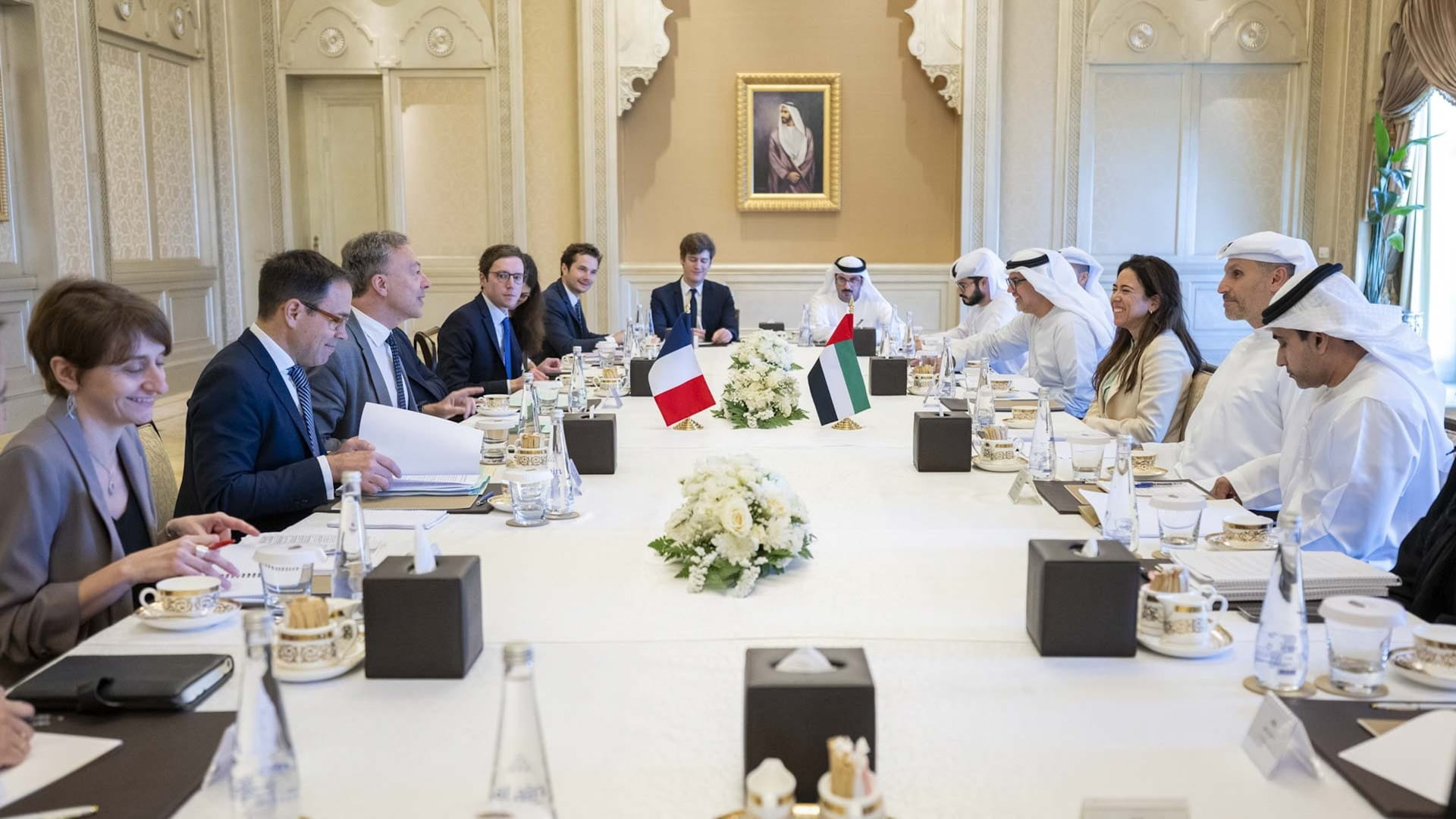 UAE and France reaffirm strategic partnership across key sectors