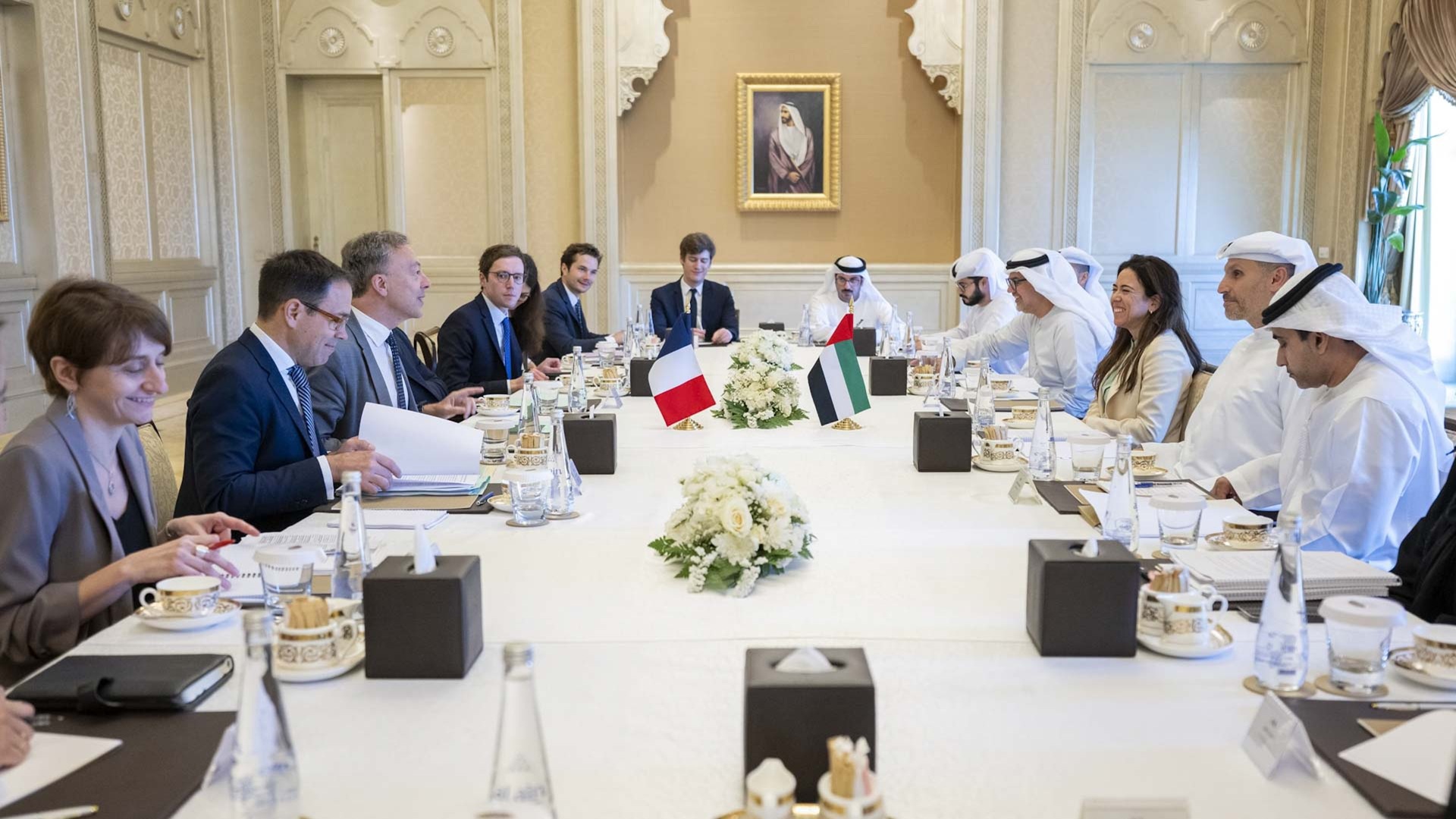 UAE and France reaffirm strategic partnership across key sectors