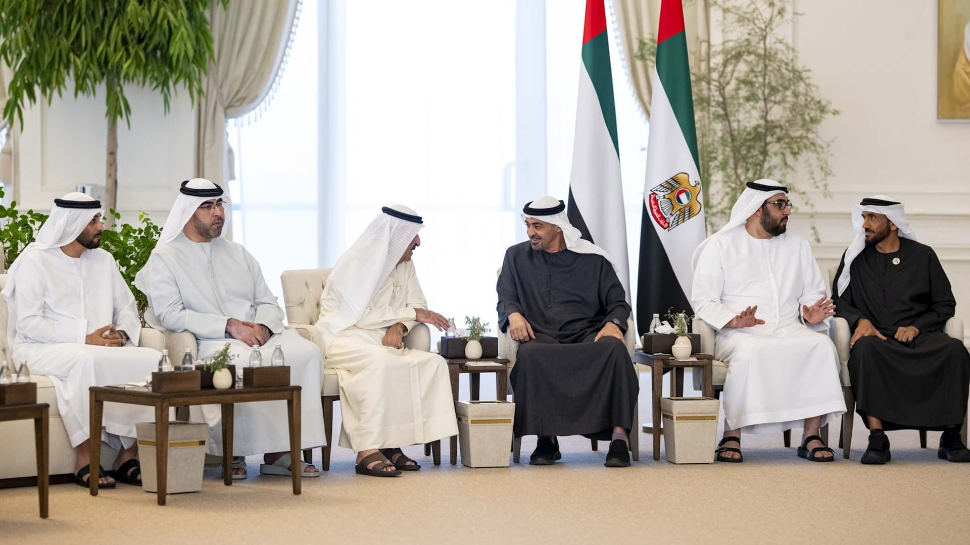 UAE President discusses national, citizen affairs with UAQ Ruler 