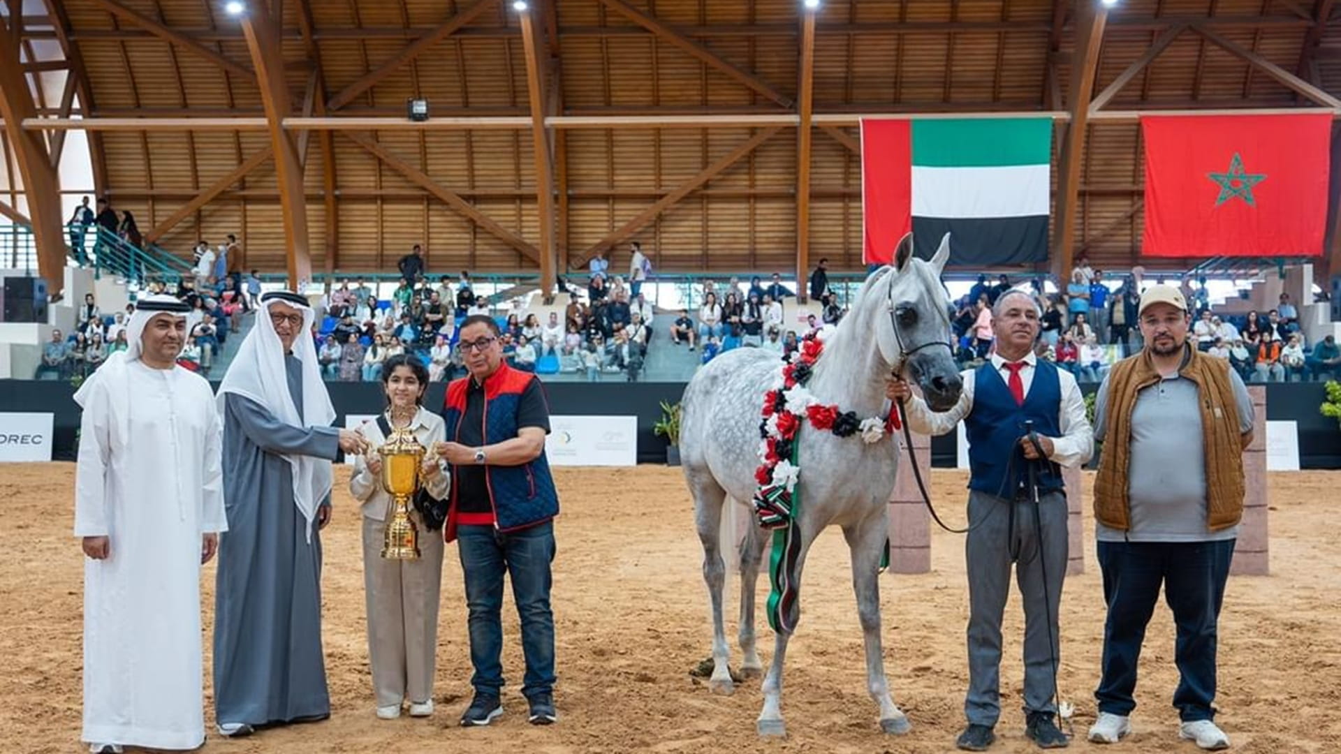 Emirates Arabian Horse Global Cup concludes Morocco round 