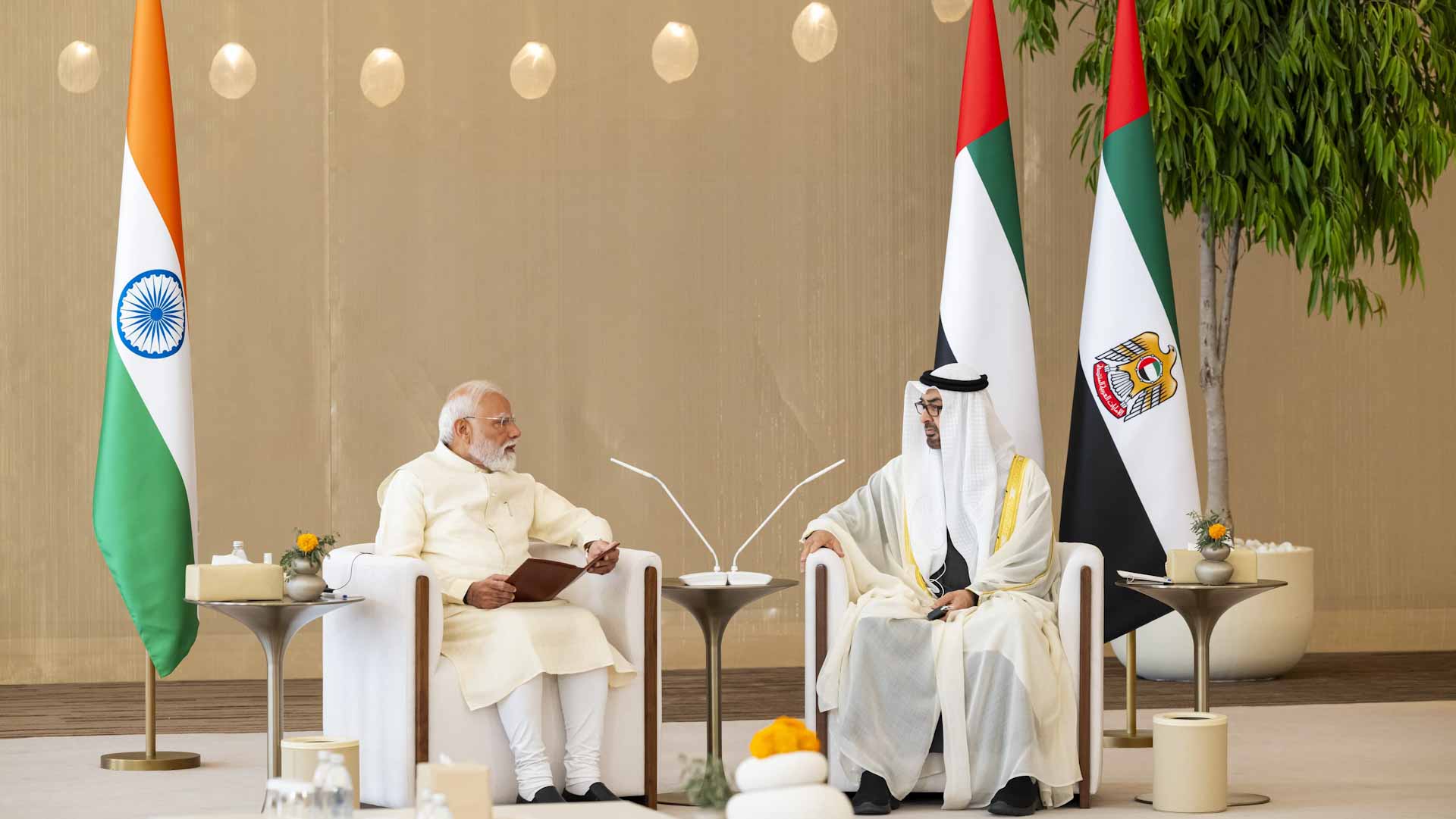 UAE President, Indian Prime Minister review regional developments 