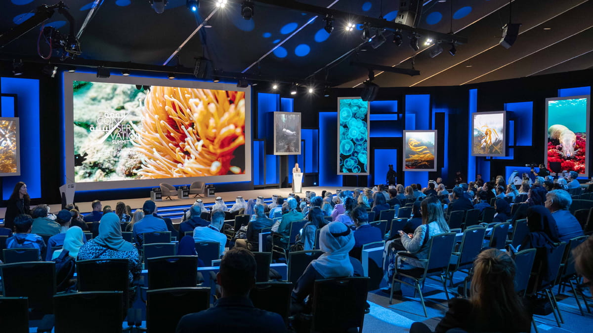 المهرجان الدولي للتصوير "إكسبوجر": احتفال بالإبداع والإلهام