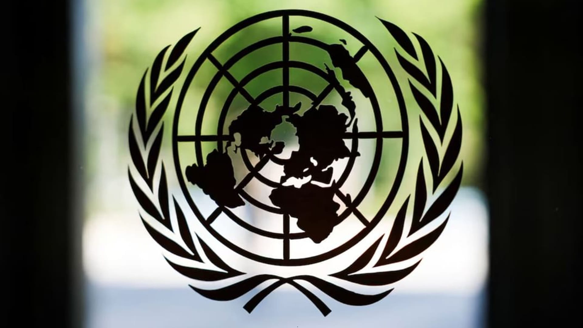 UN Security Council condemns attack on Barakah Nuclear Power Plant